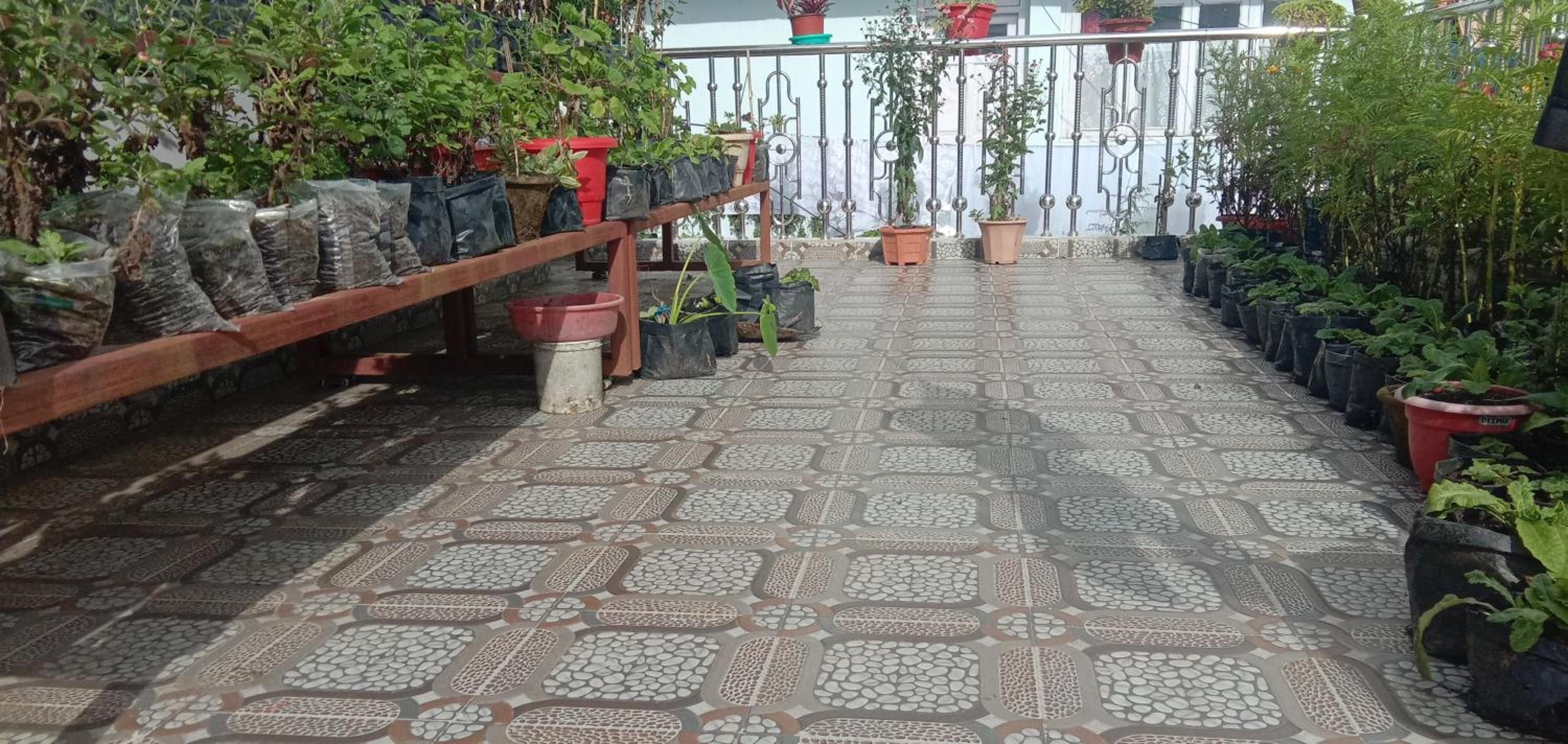 RISE N SHINE HOMESTAY view 5
