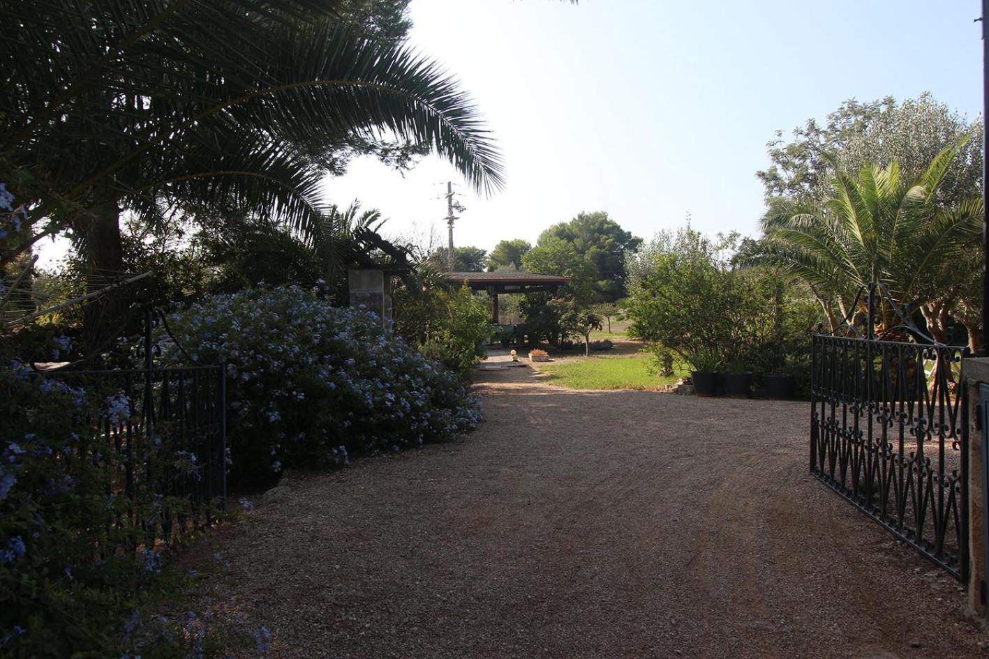 Photo 44