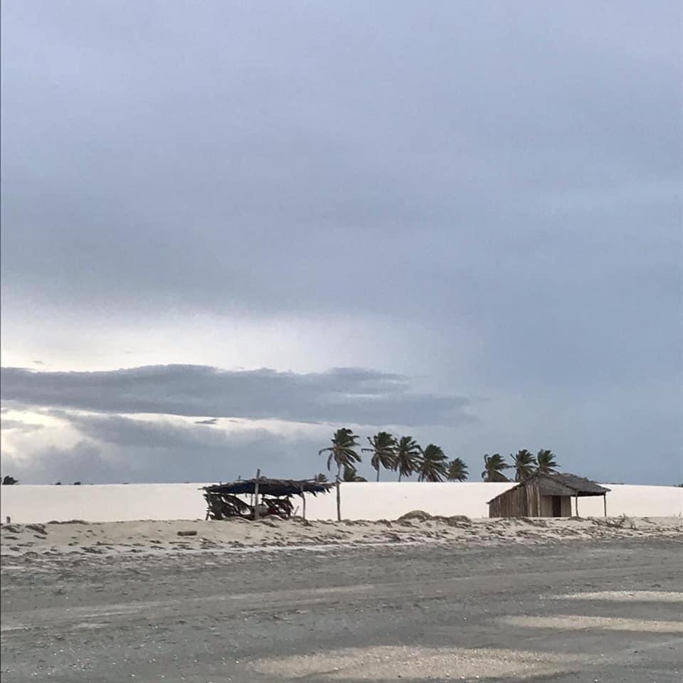 Casa tartaruga