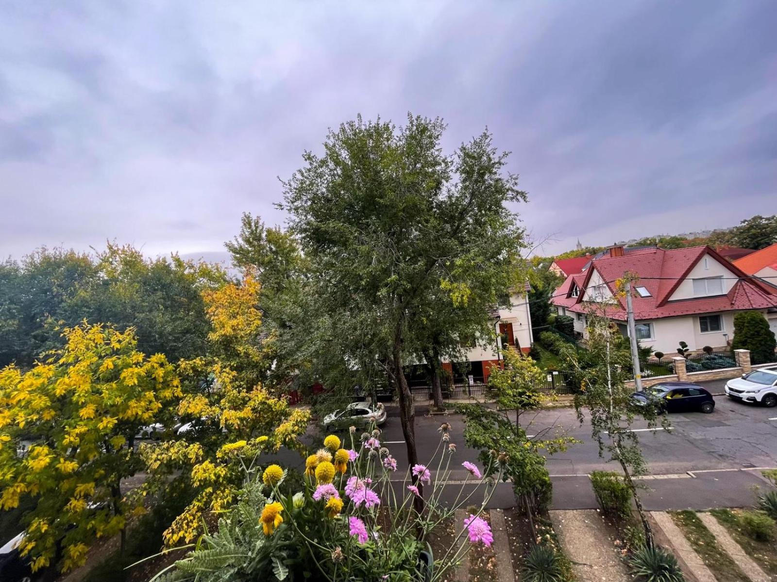 Debreceni Egyetem Nagyerdei Rosehill 1 Apartman Greatforest Rosehill 1 Apartman Free Parking view 4