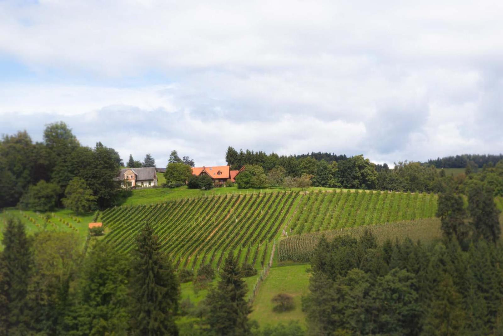 Ferienhaus Schilcherland