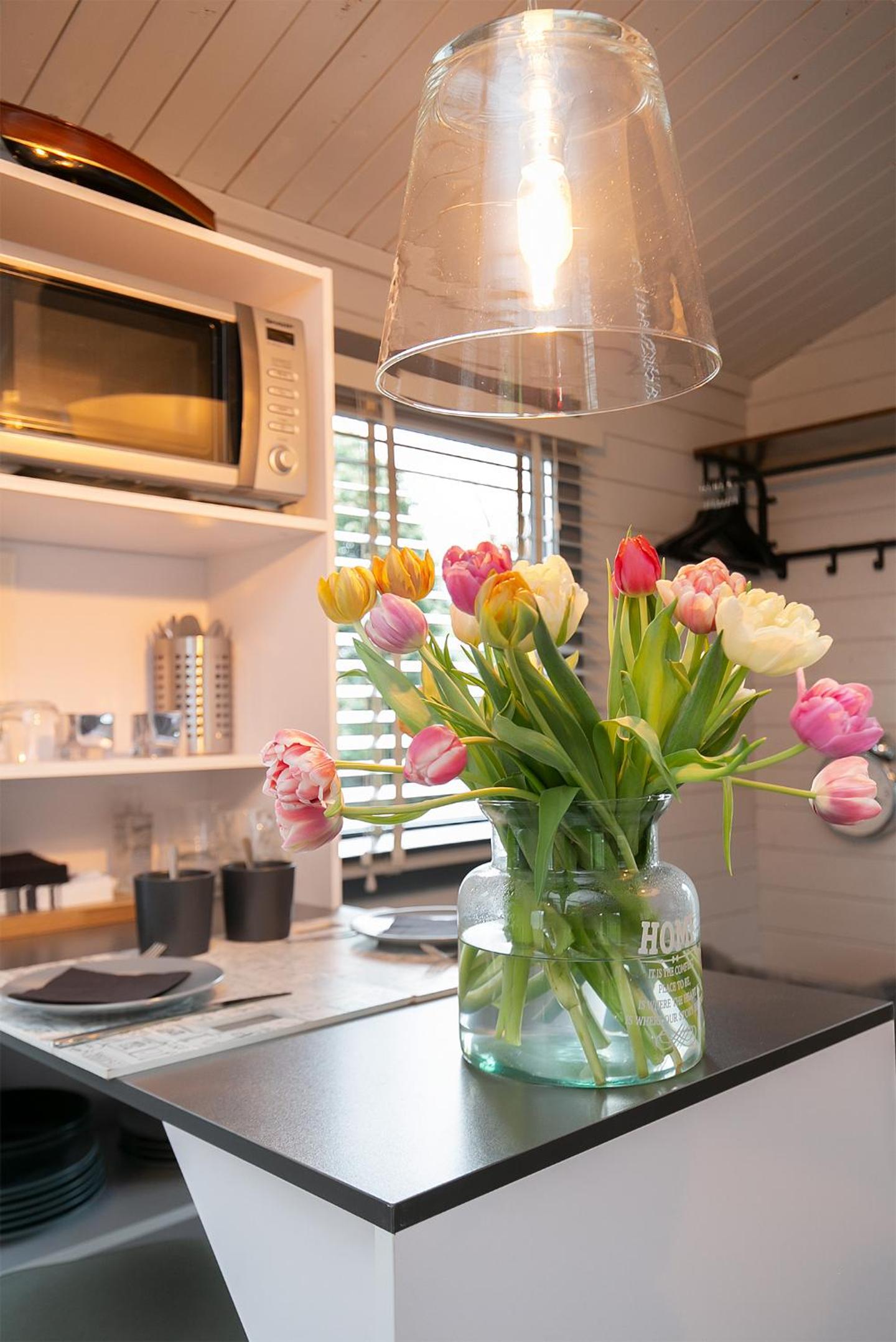 Tiny House Boatshed view 3