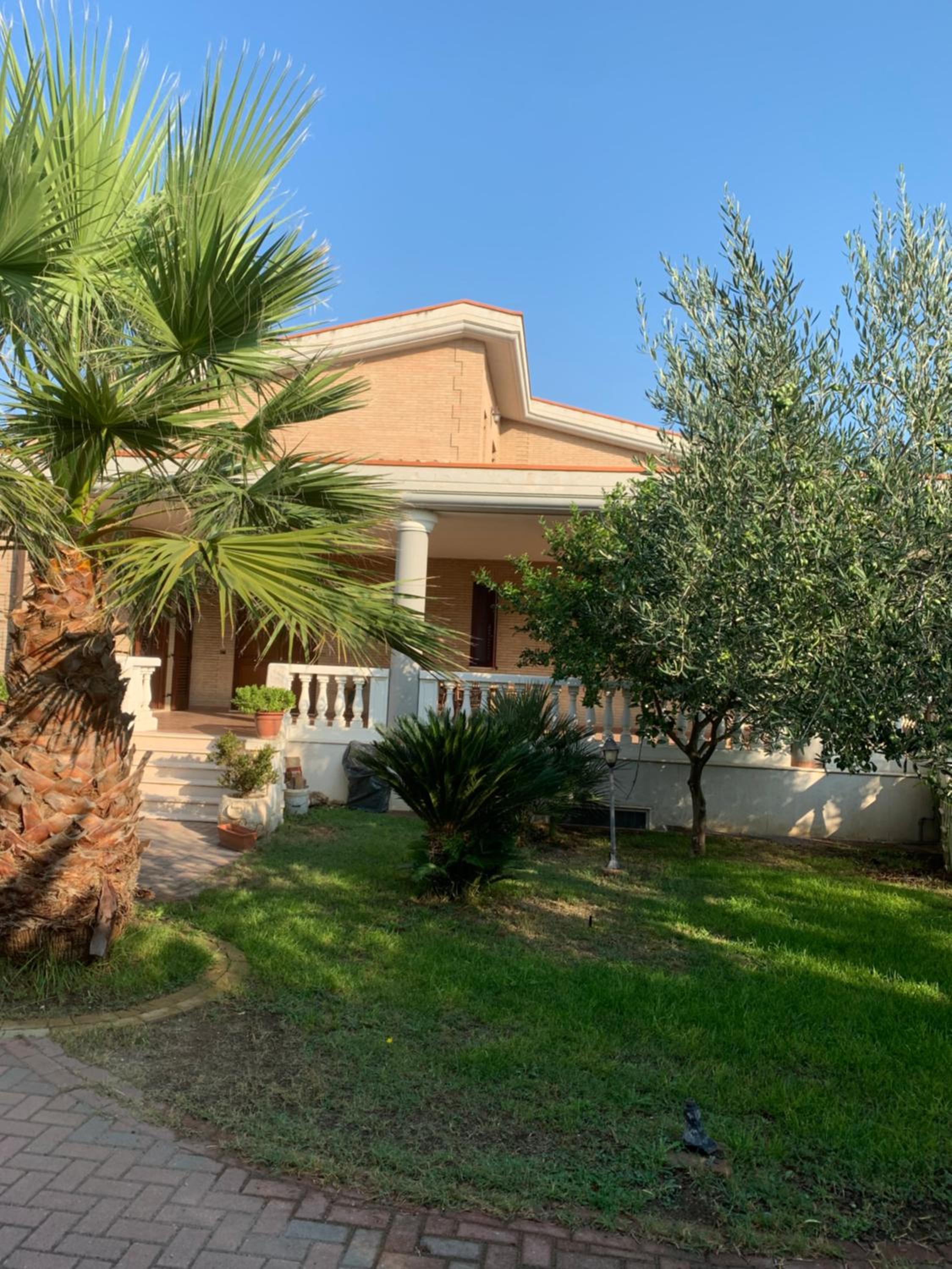 Immersi nella natura view 3