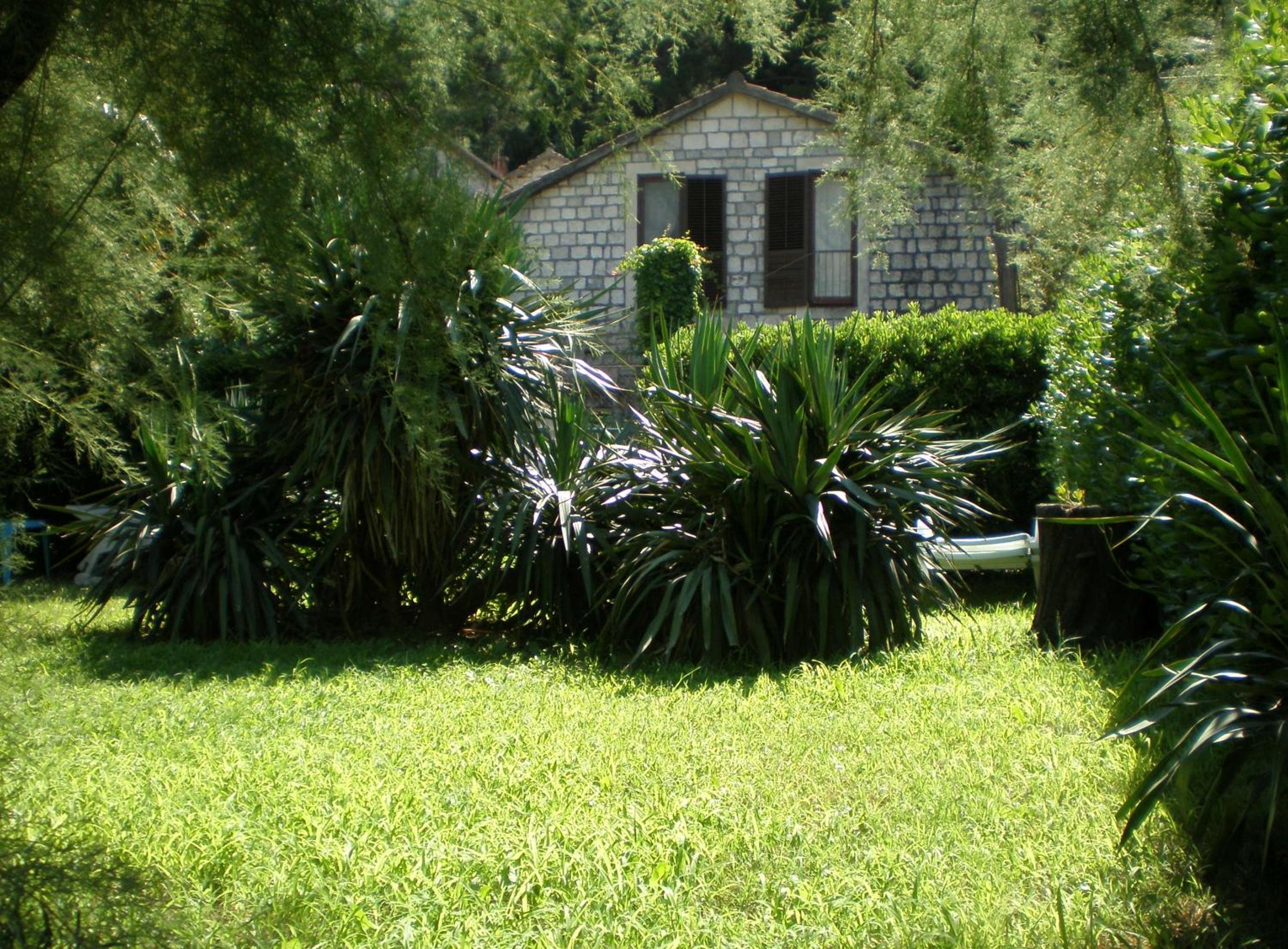 Photo 21