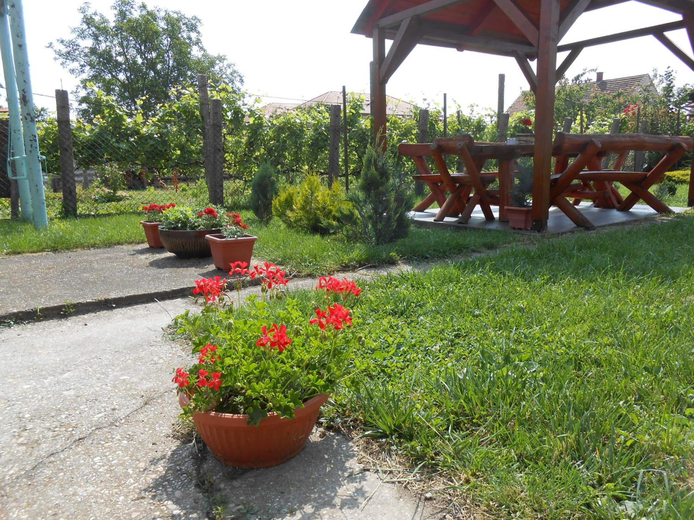 Photo 20