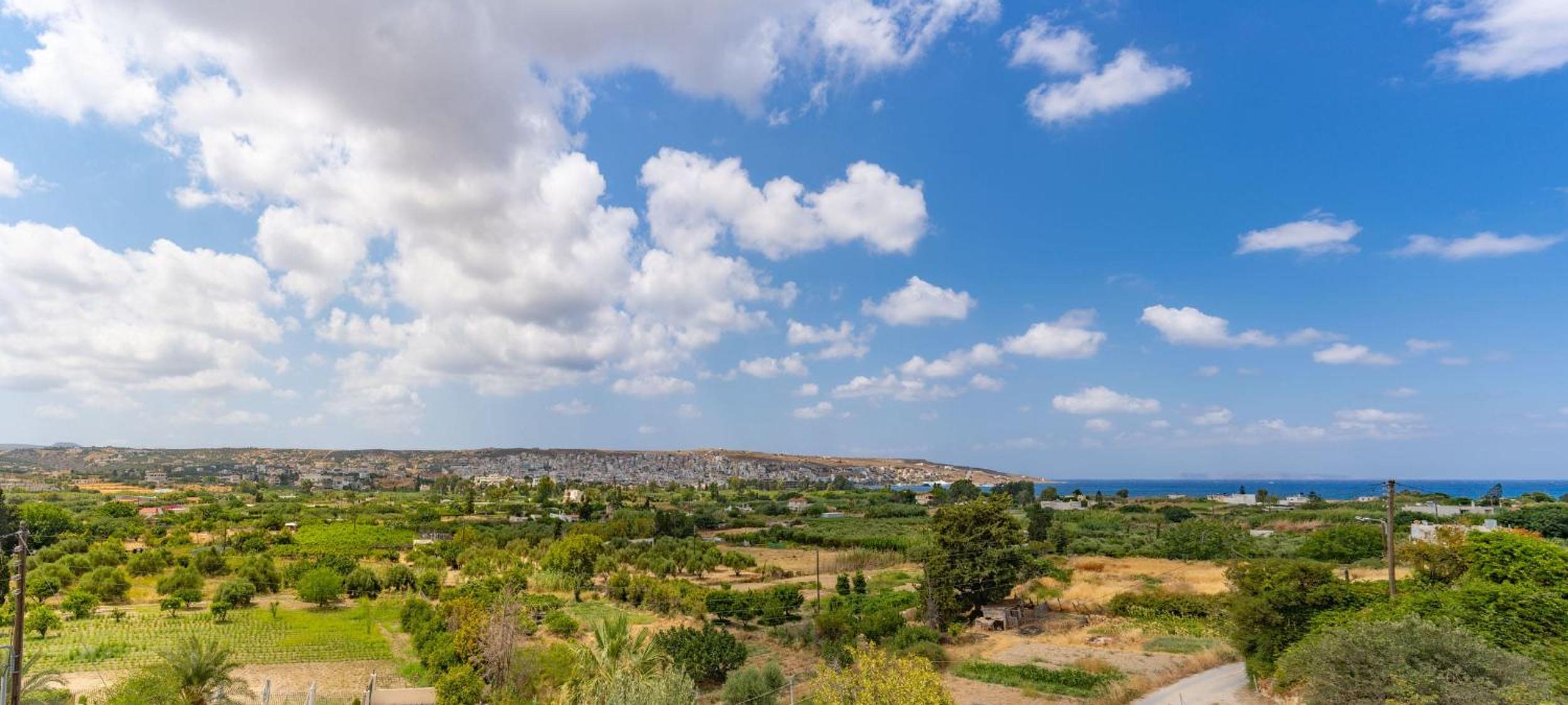 The Rock & The Lemon Tree view 3