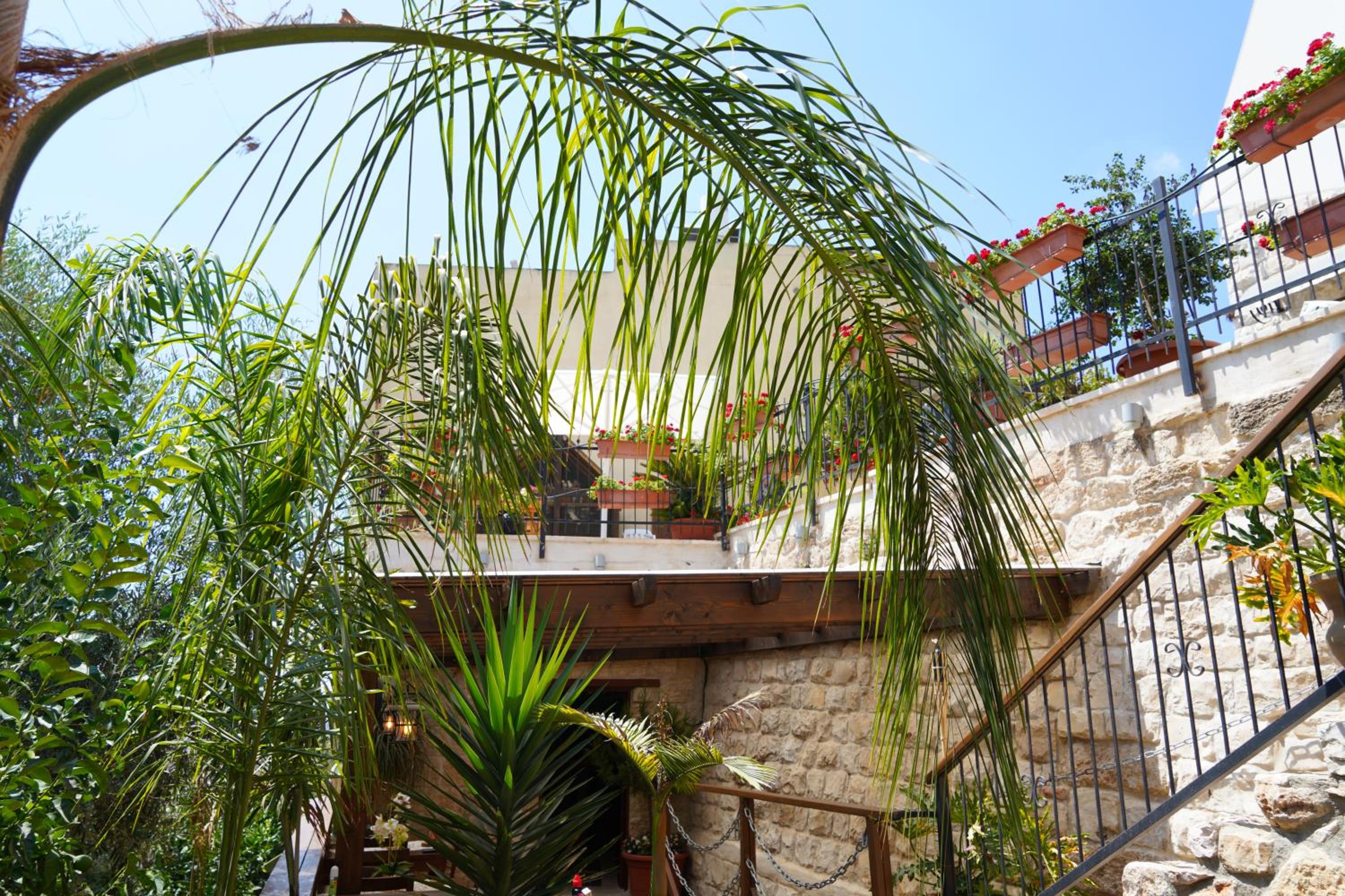 Photo 10