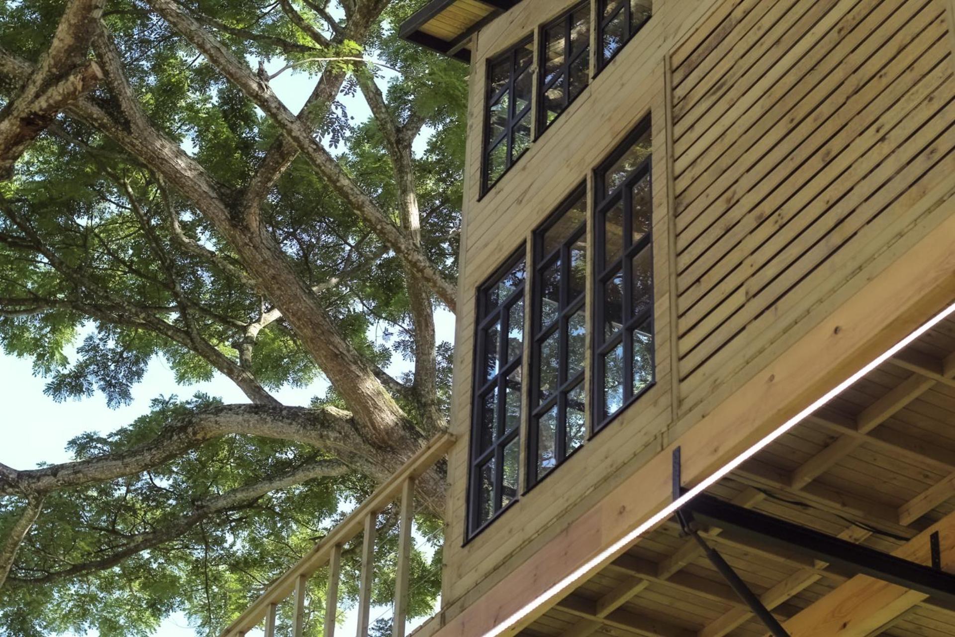 Casa en el Arbol view 5