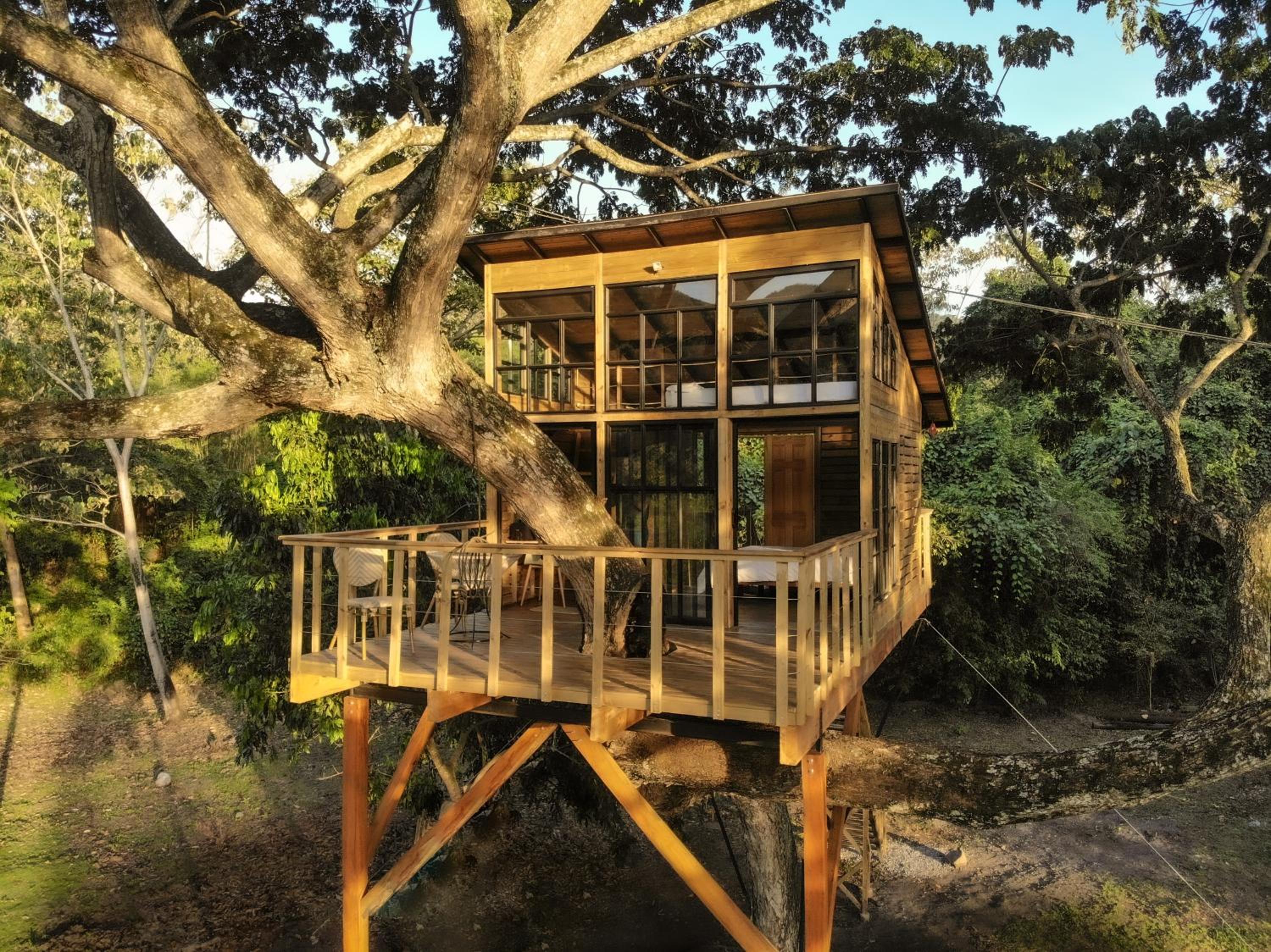 Casa en el Arbol view 2