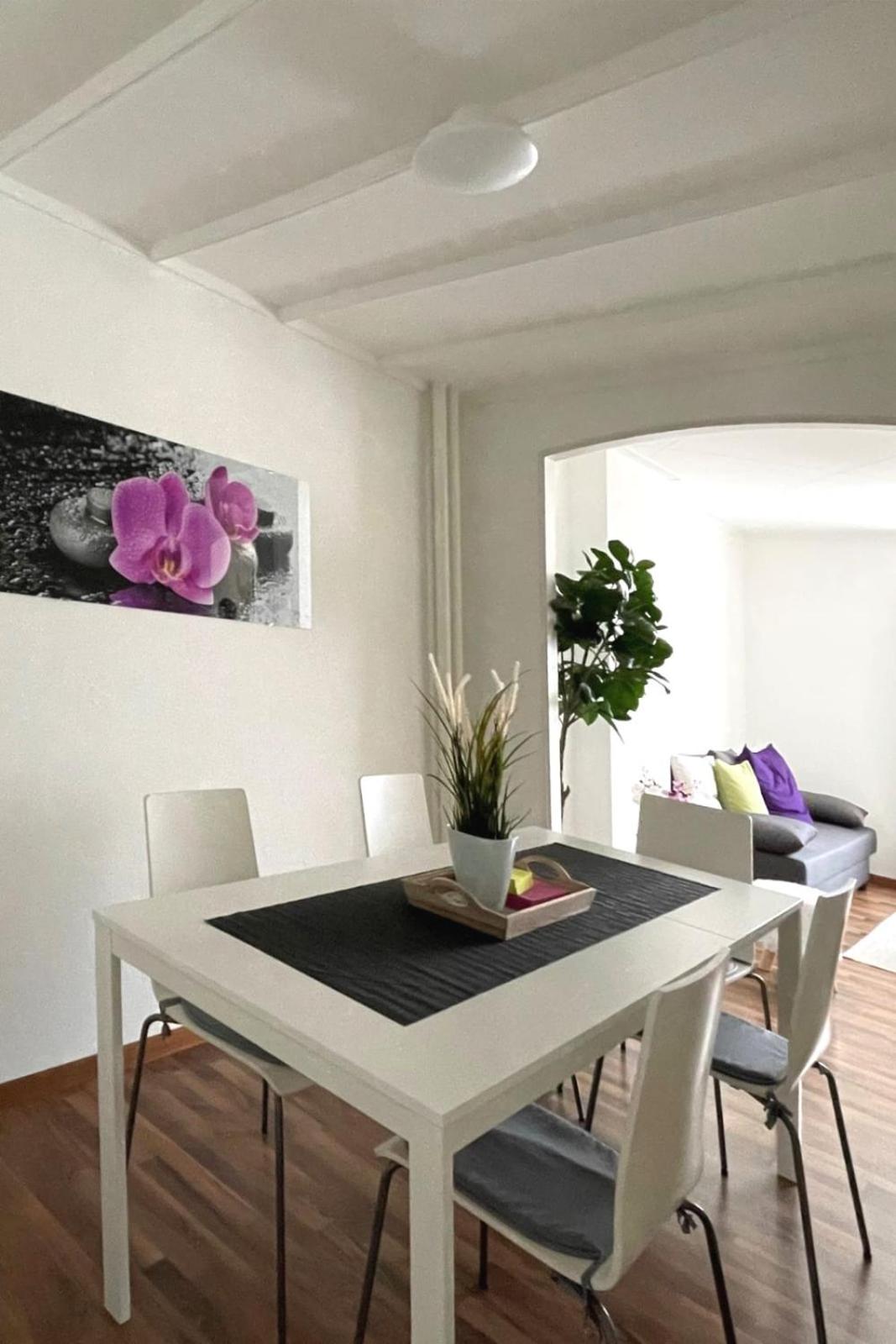 Modern apartment in a charming old town setting