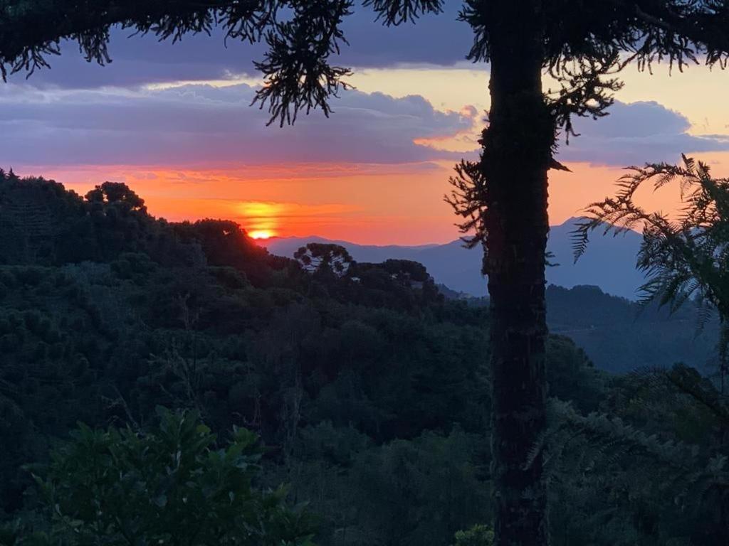 Refúgio das Nuvens - Capivari Lodge Home