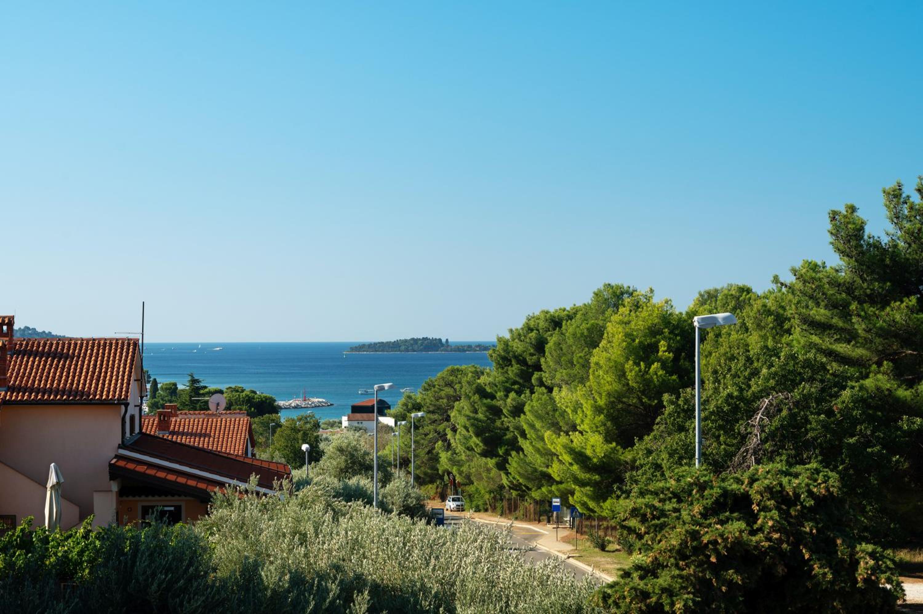 Apartments Irena with sea view view 3
