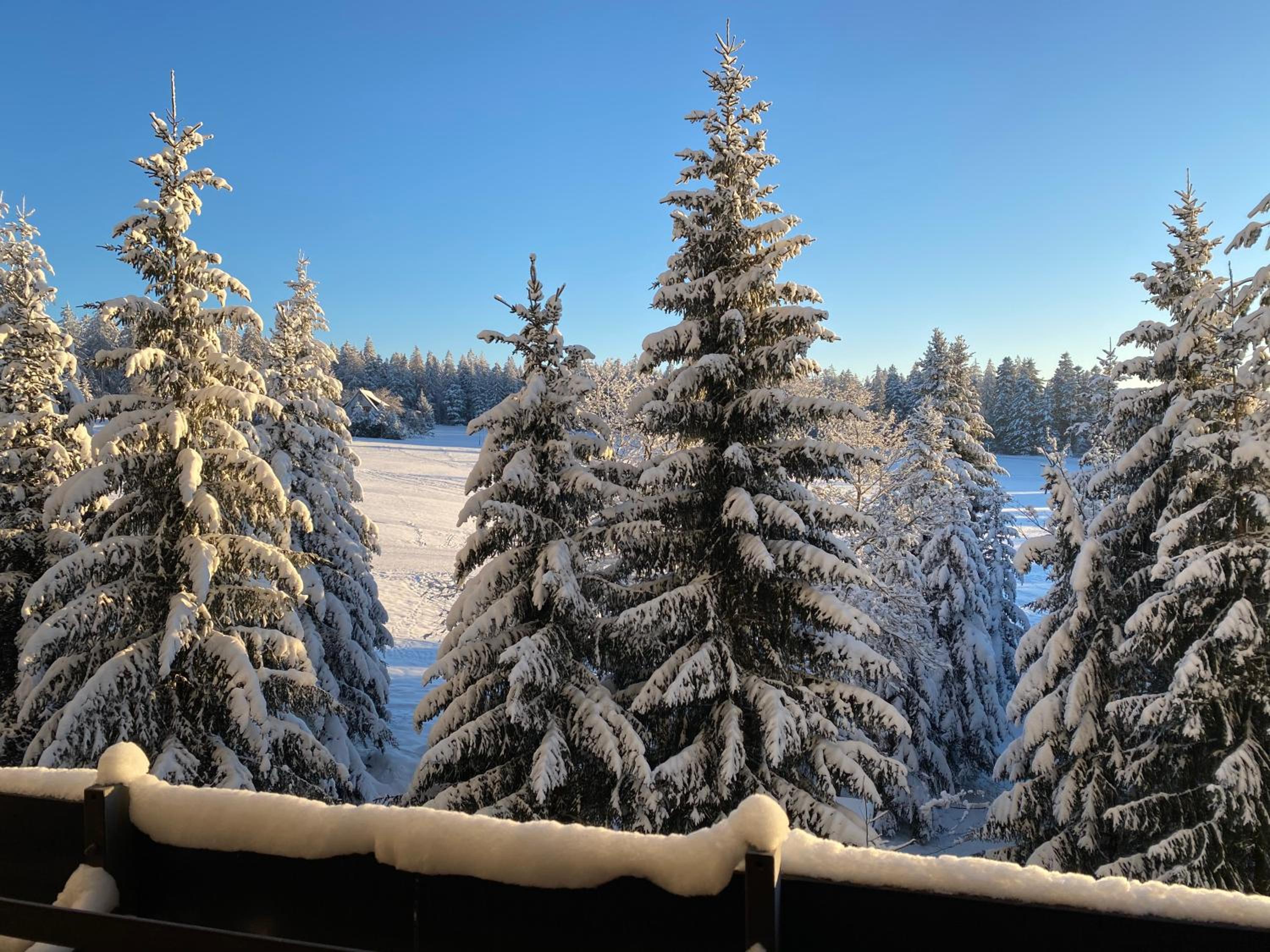 Schwarzwald Wohnung Kniebis view 2