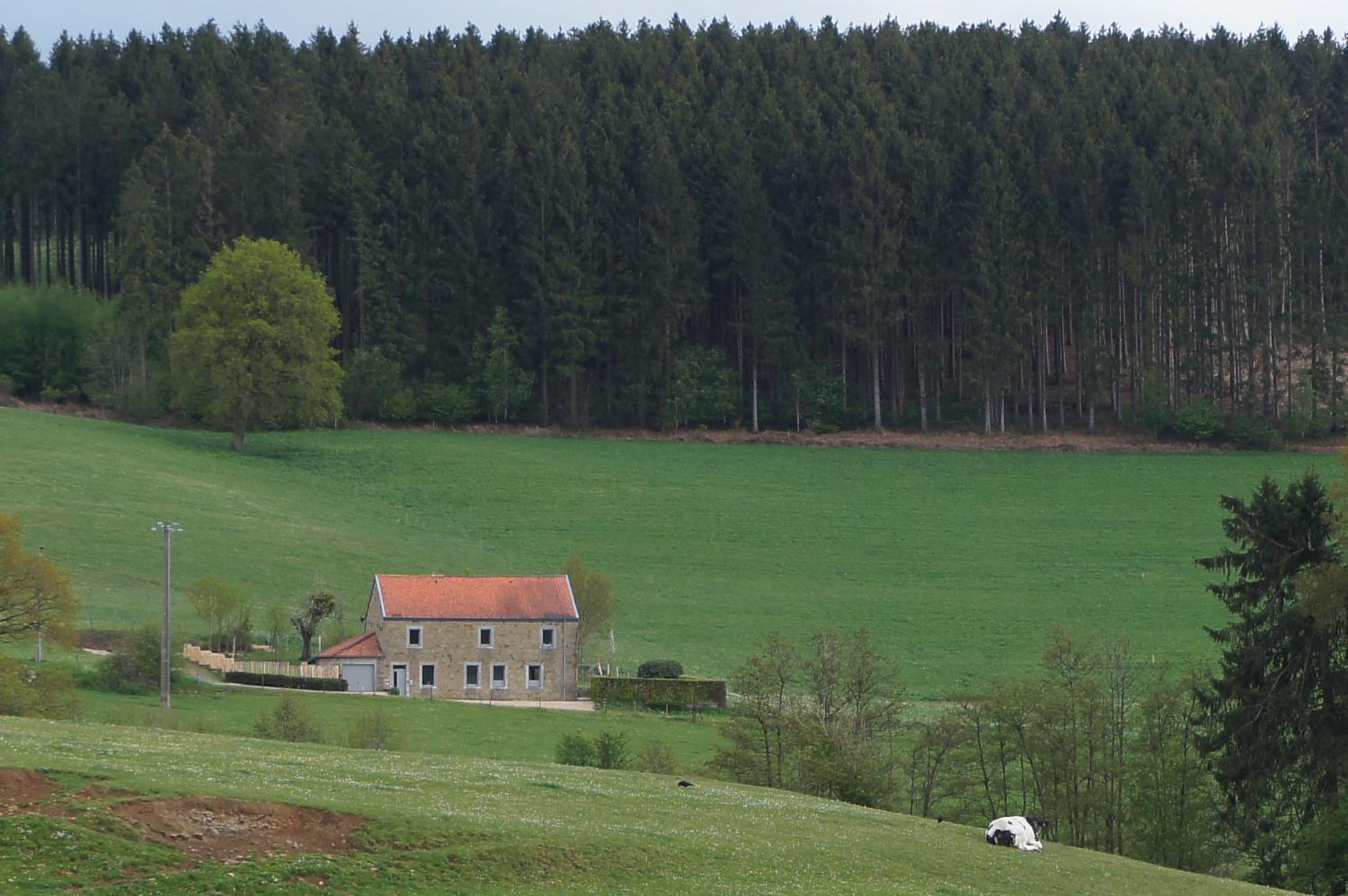 Gite rural '21 bonnes raisons' - Ossogne