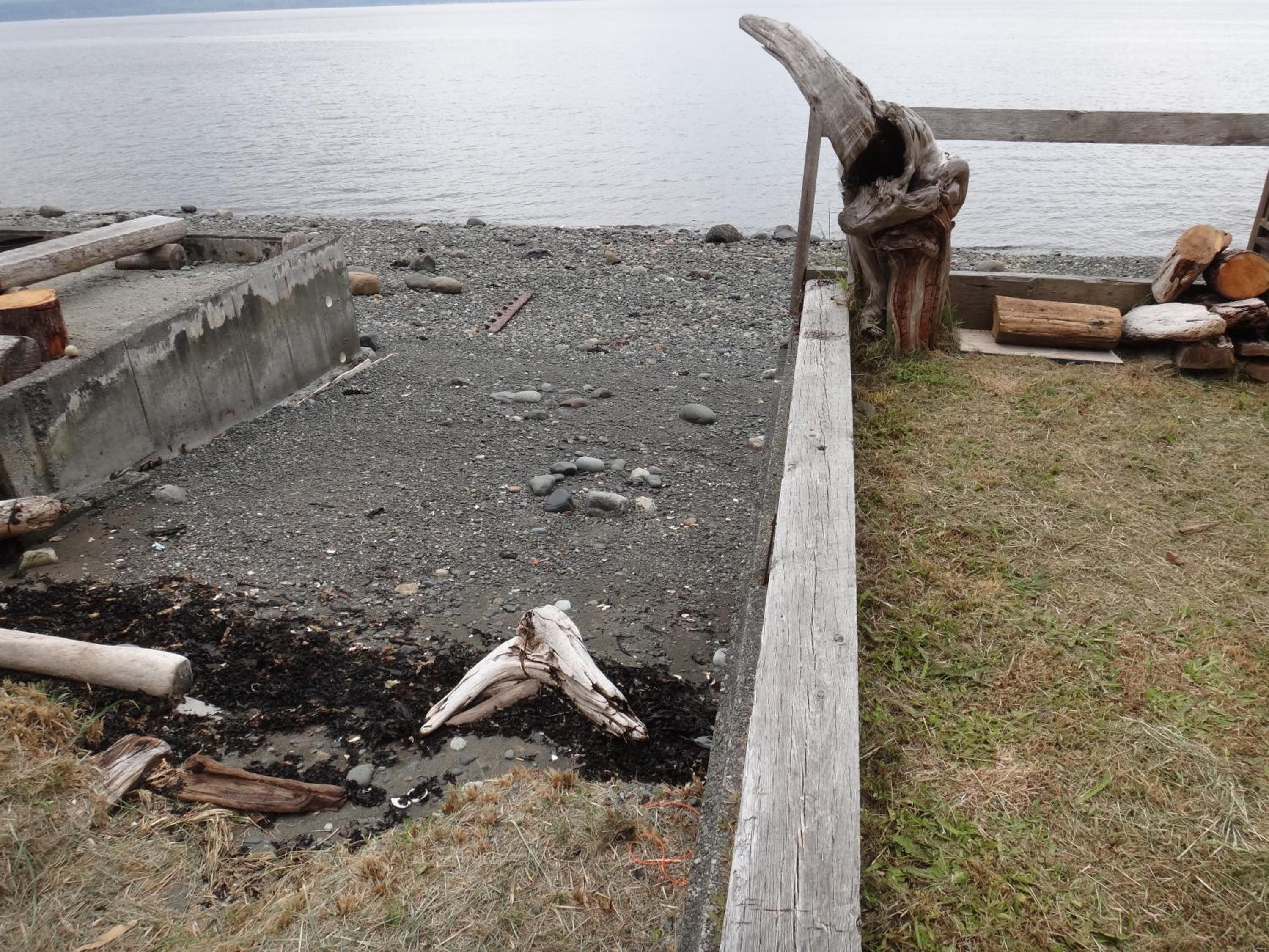 Orca Lodge