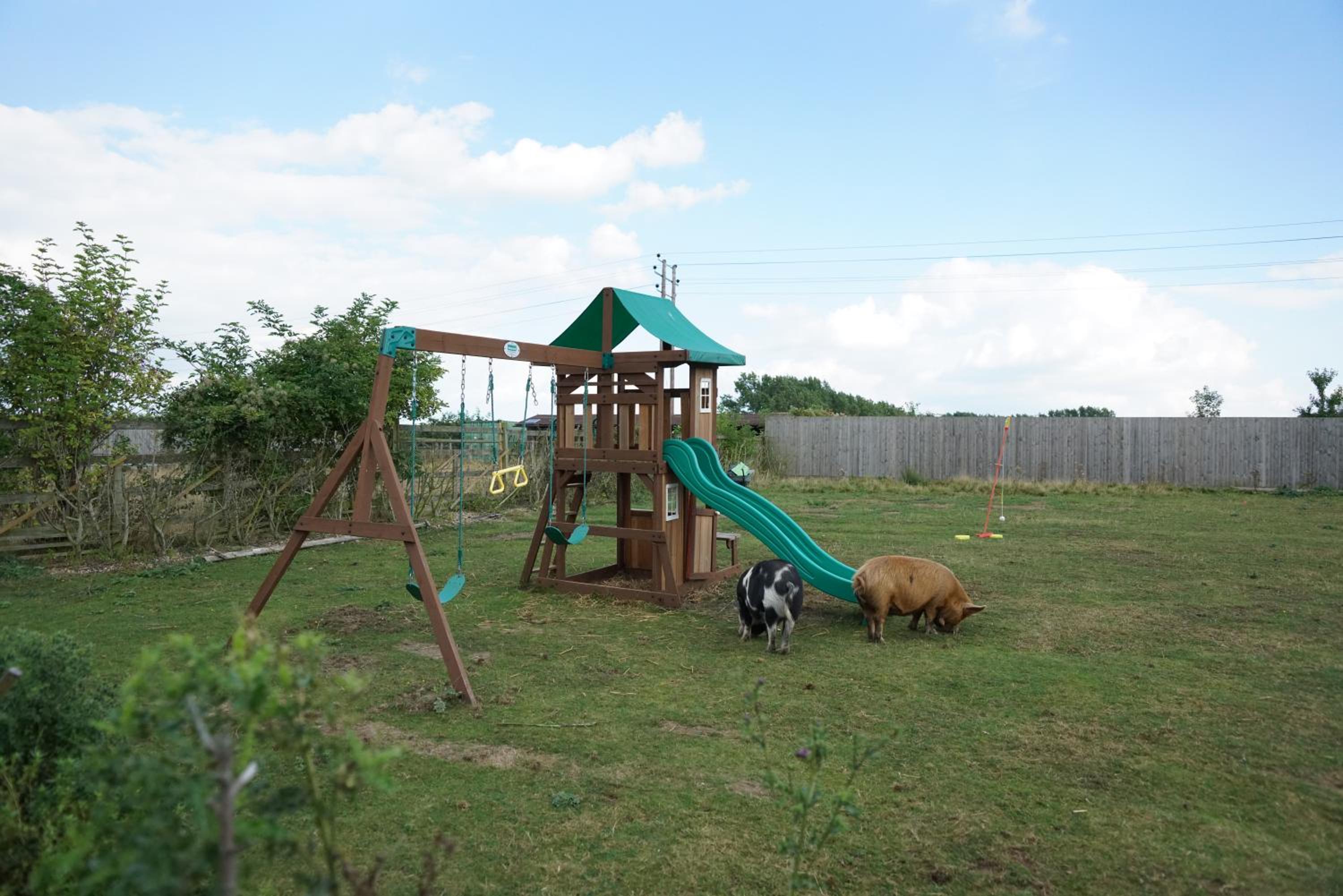 Alpaca Lodge