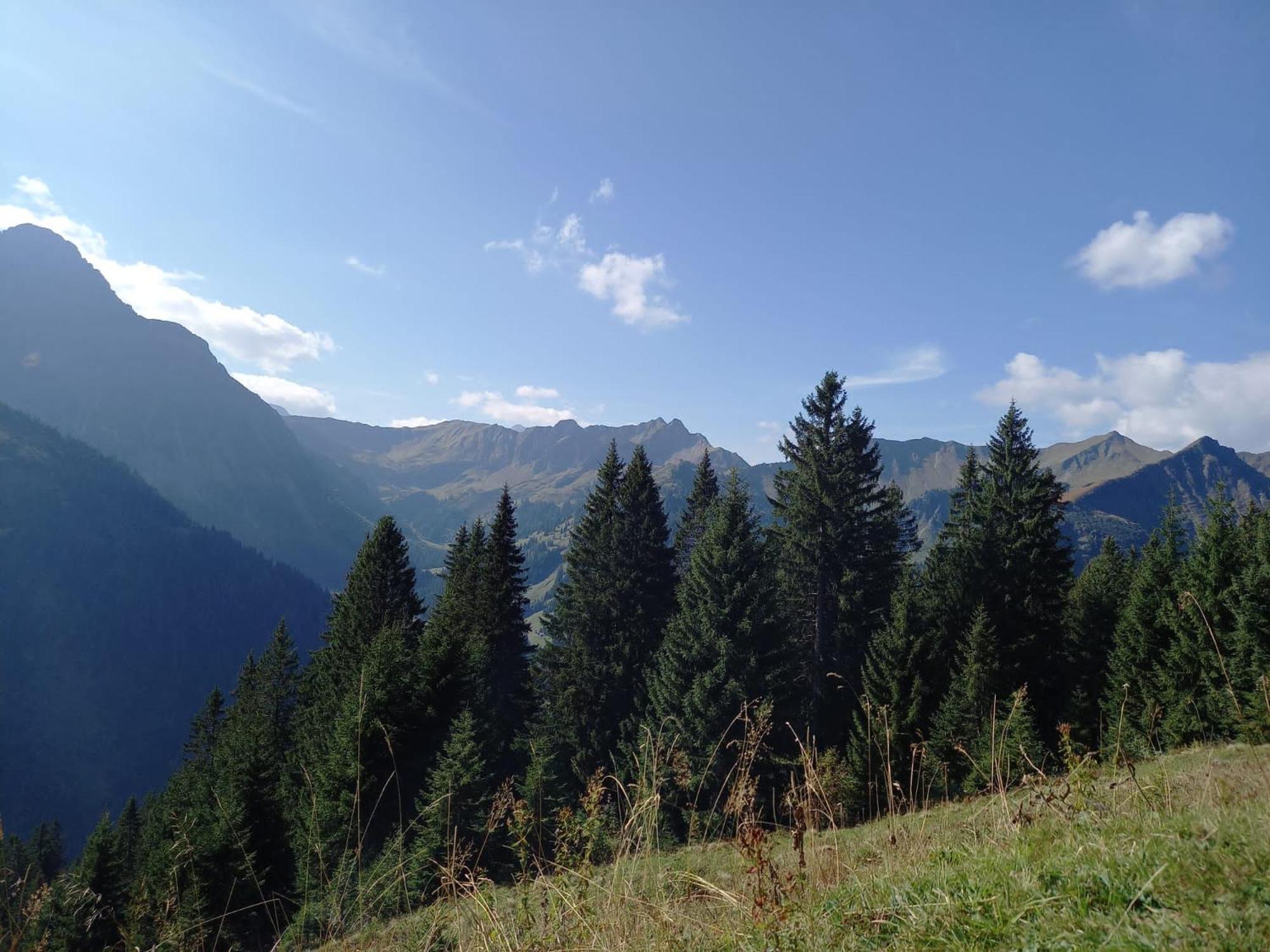 Aparthotel mittelberg mit Schwimmbad Kleinwalsertal view 3