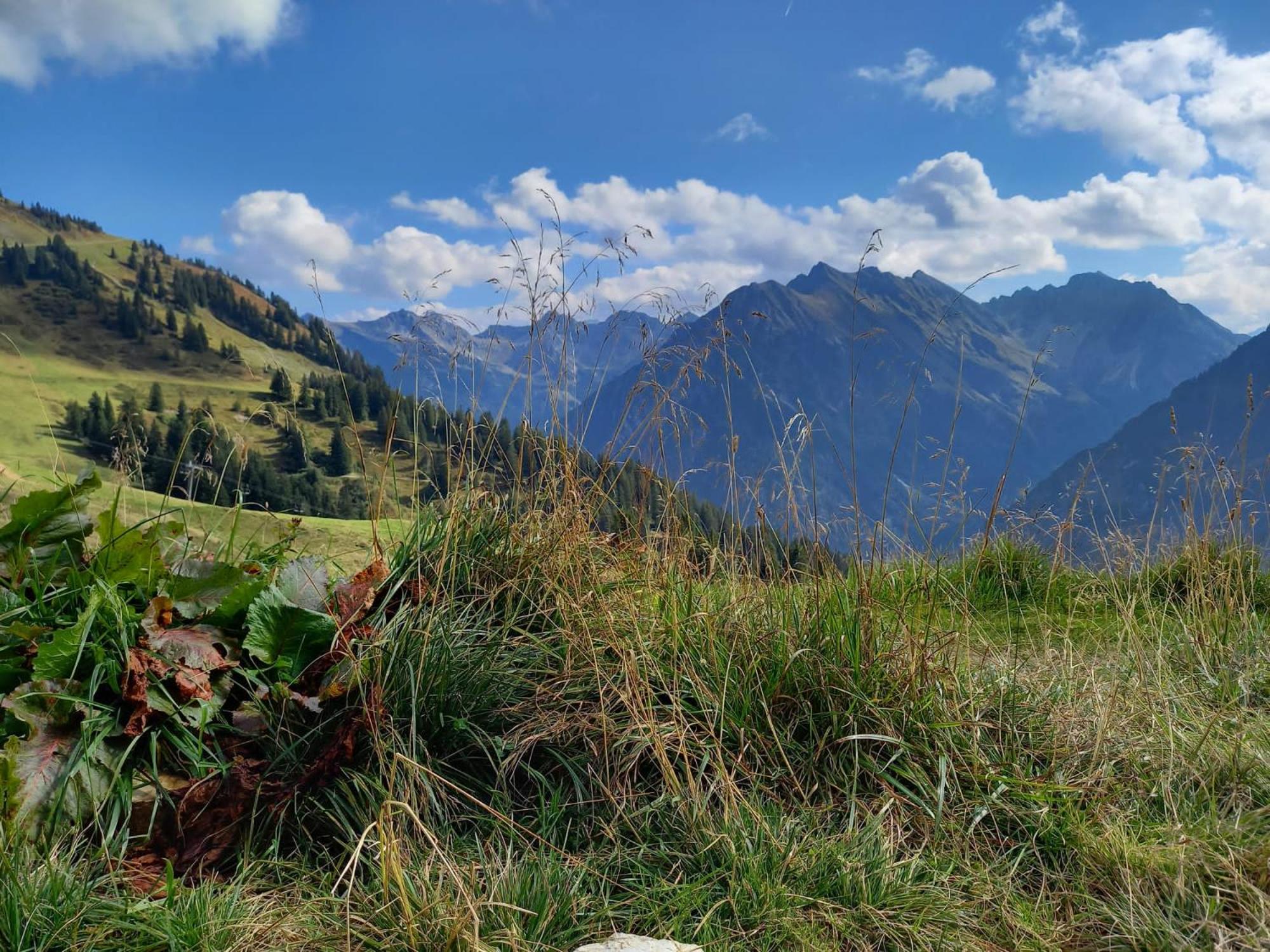 Aparthotel mittelberg mit Schwimmbad Kleinwalsertal view 4
