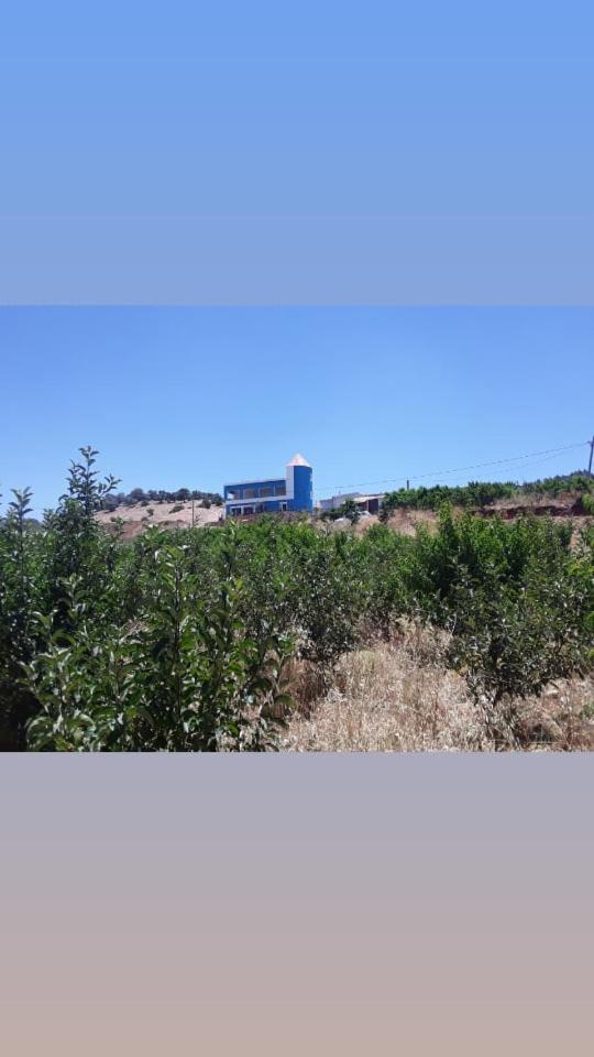 Photo 27