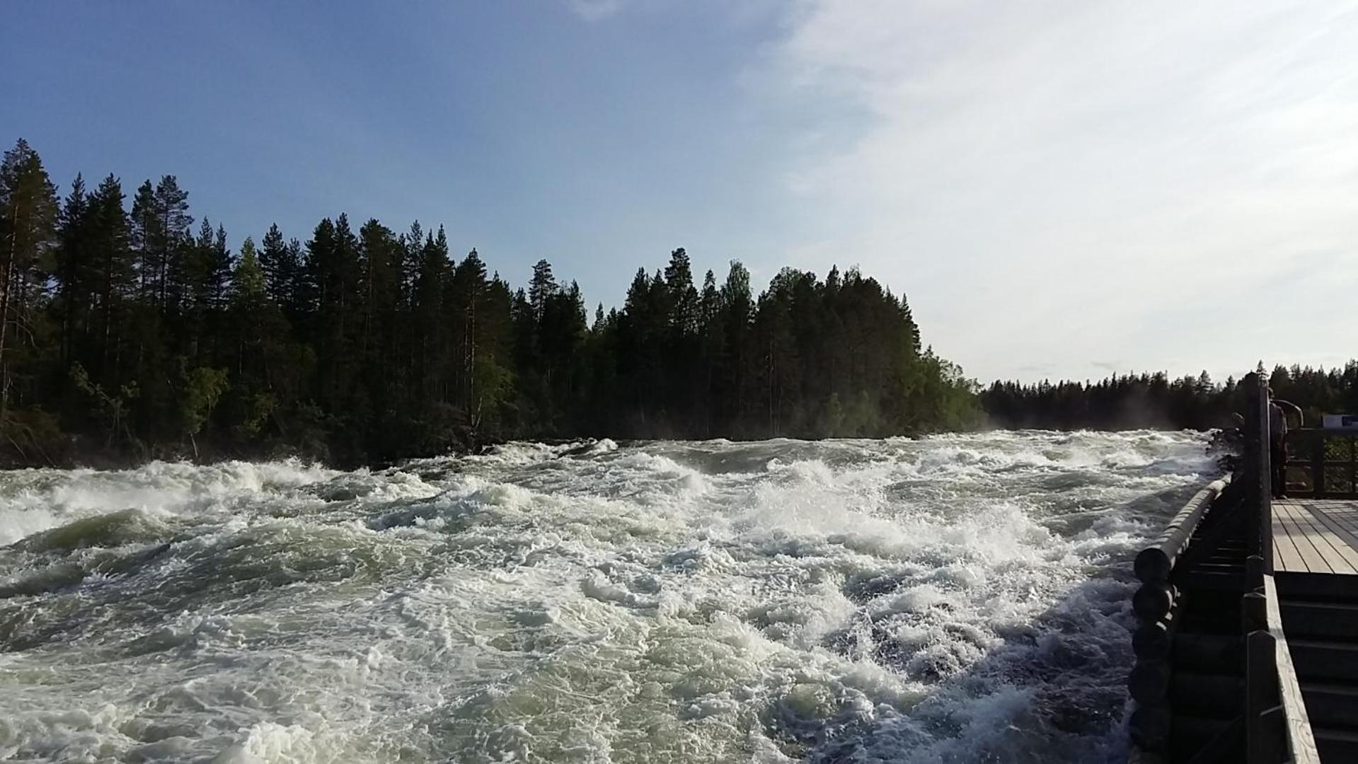 Photo 36