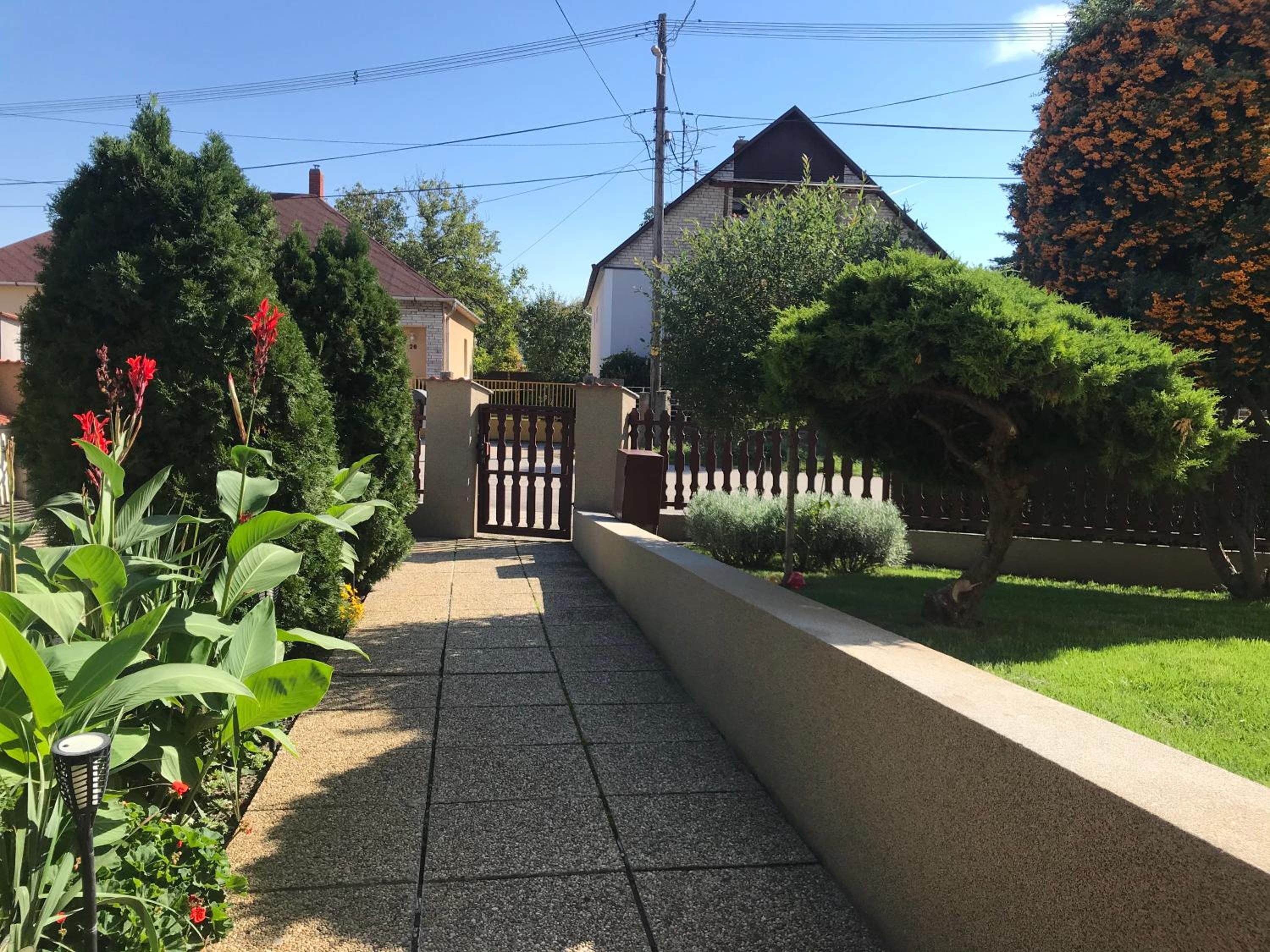 Photo 8