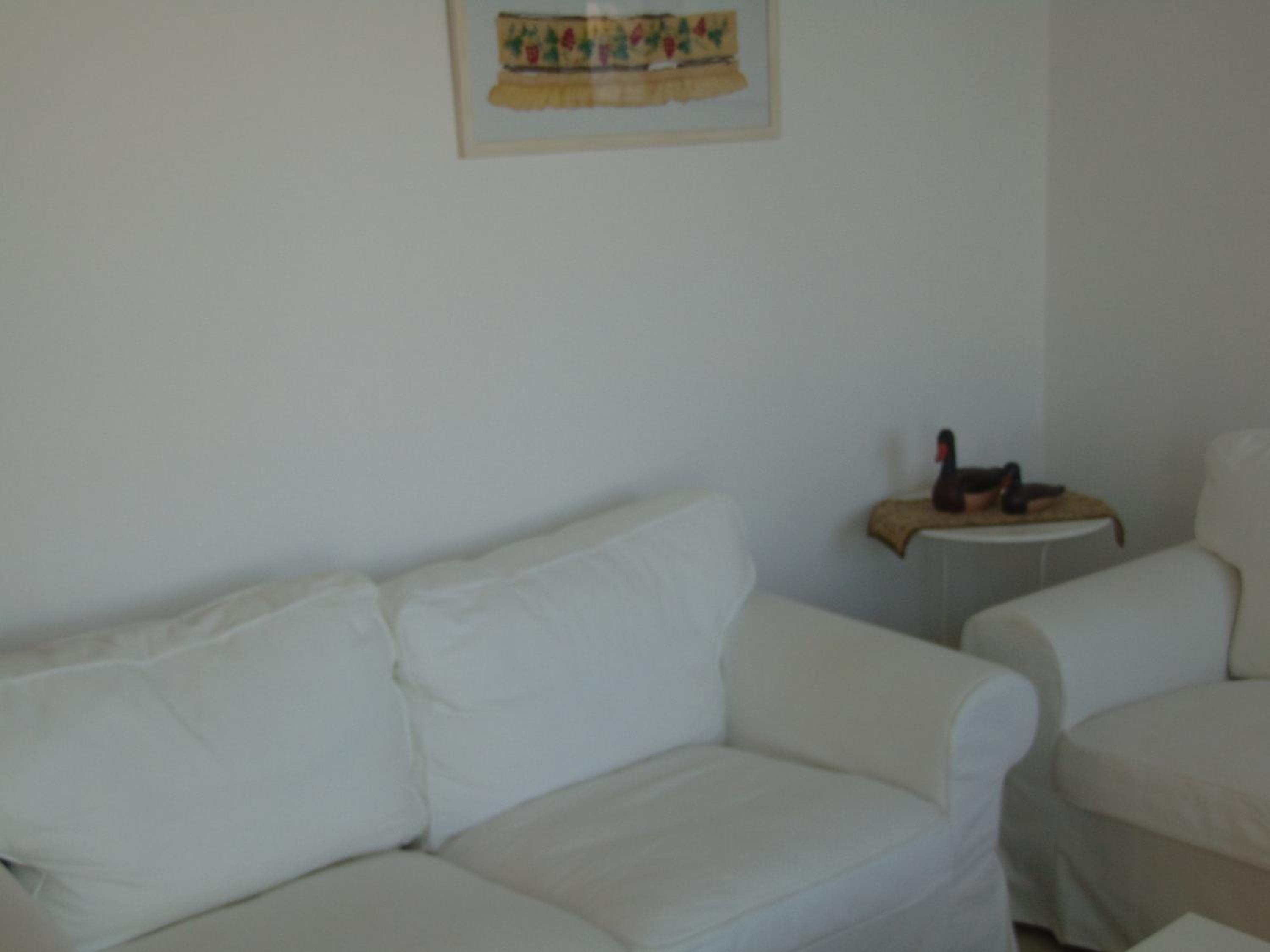 Photo 51