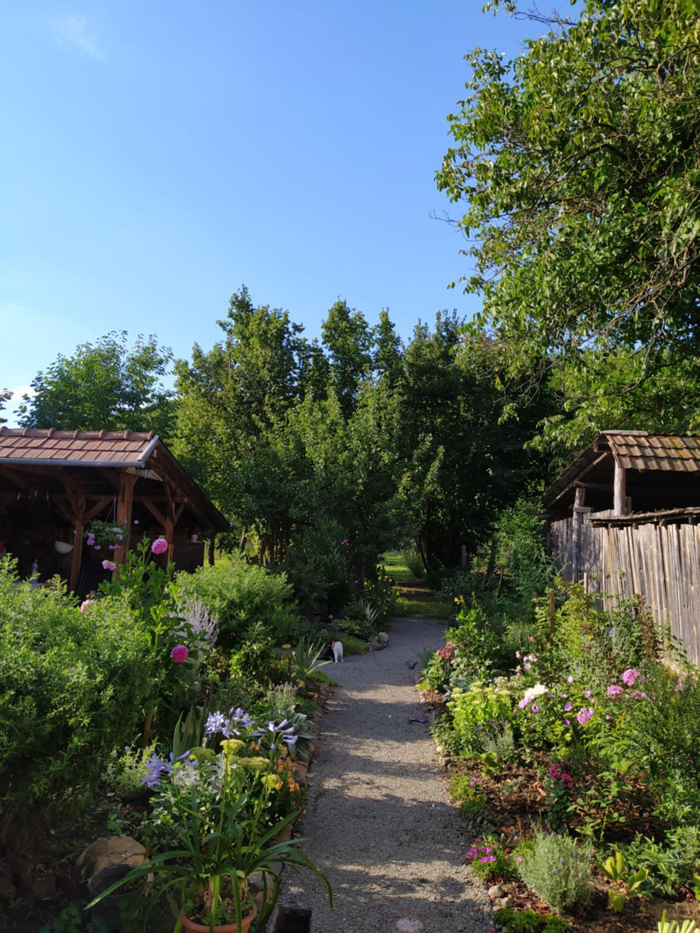 Photo 28