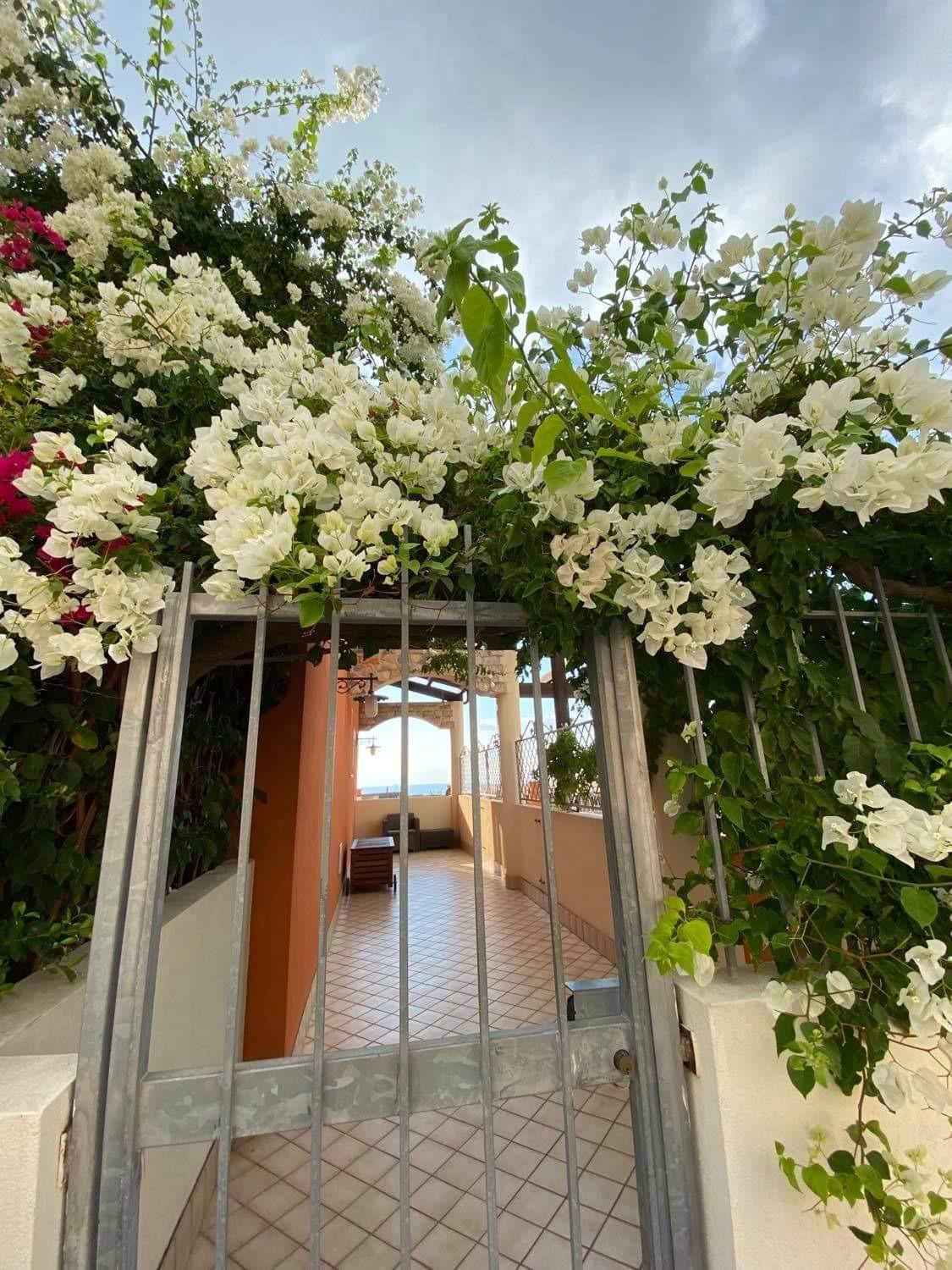 casa norvegese view 2