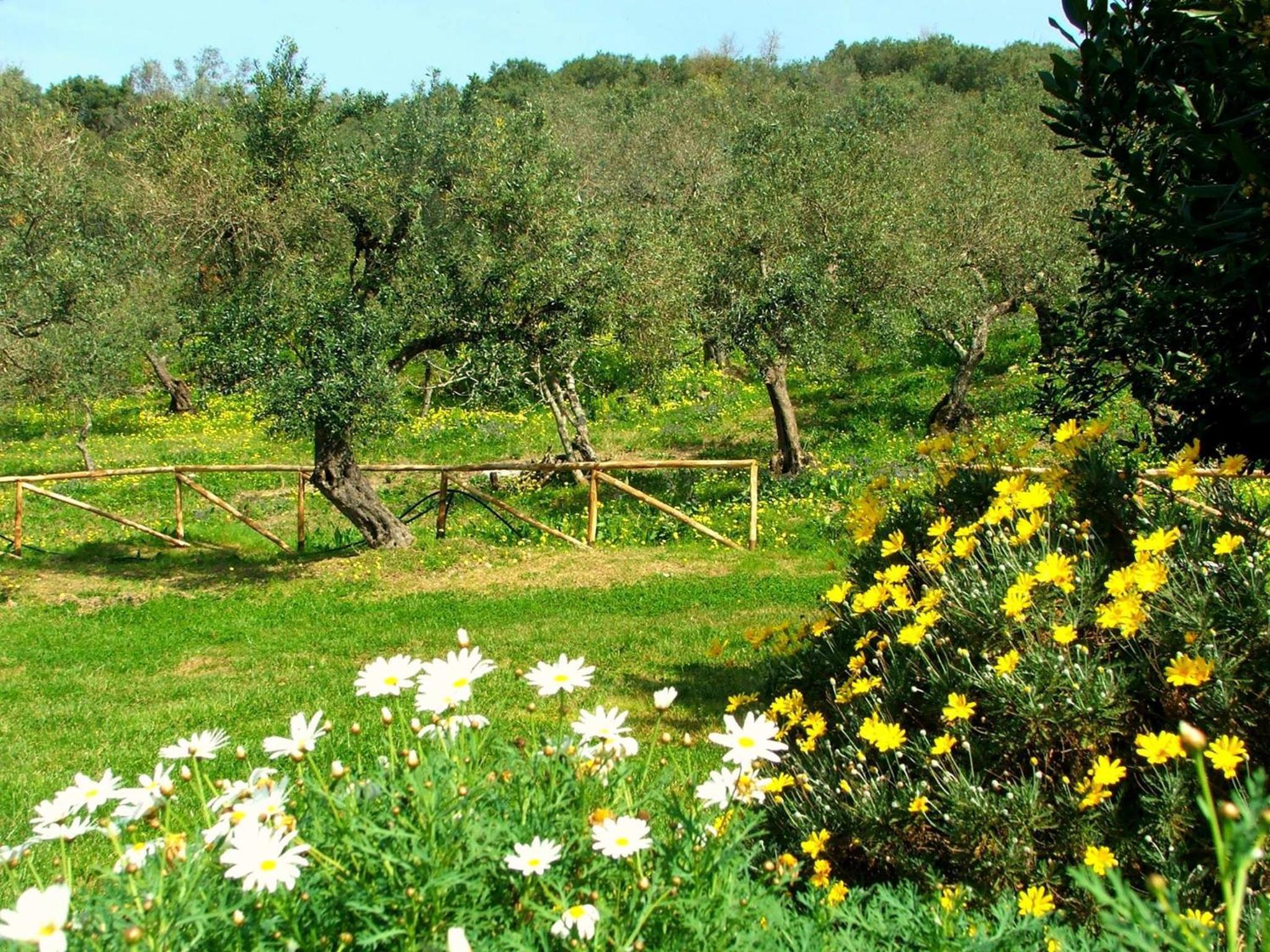 Agriturismo i Moresani