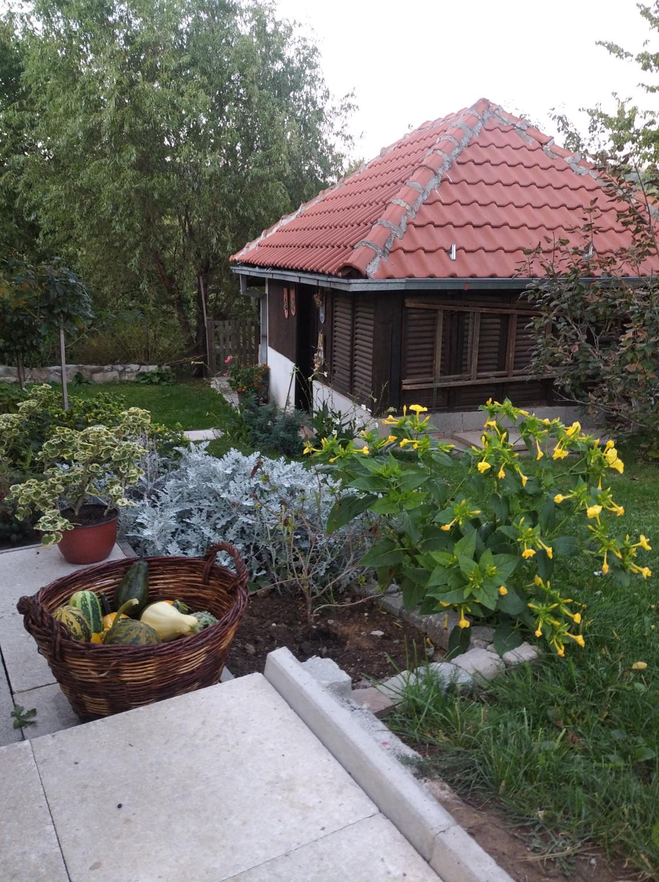Photo 33