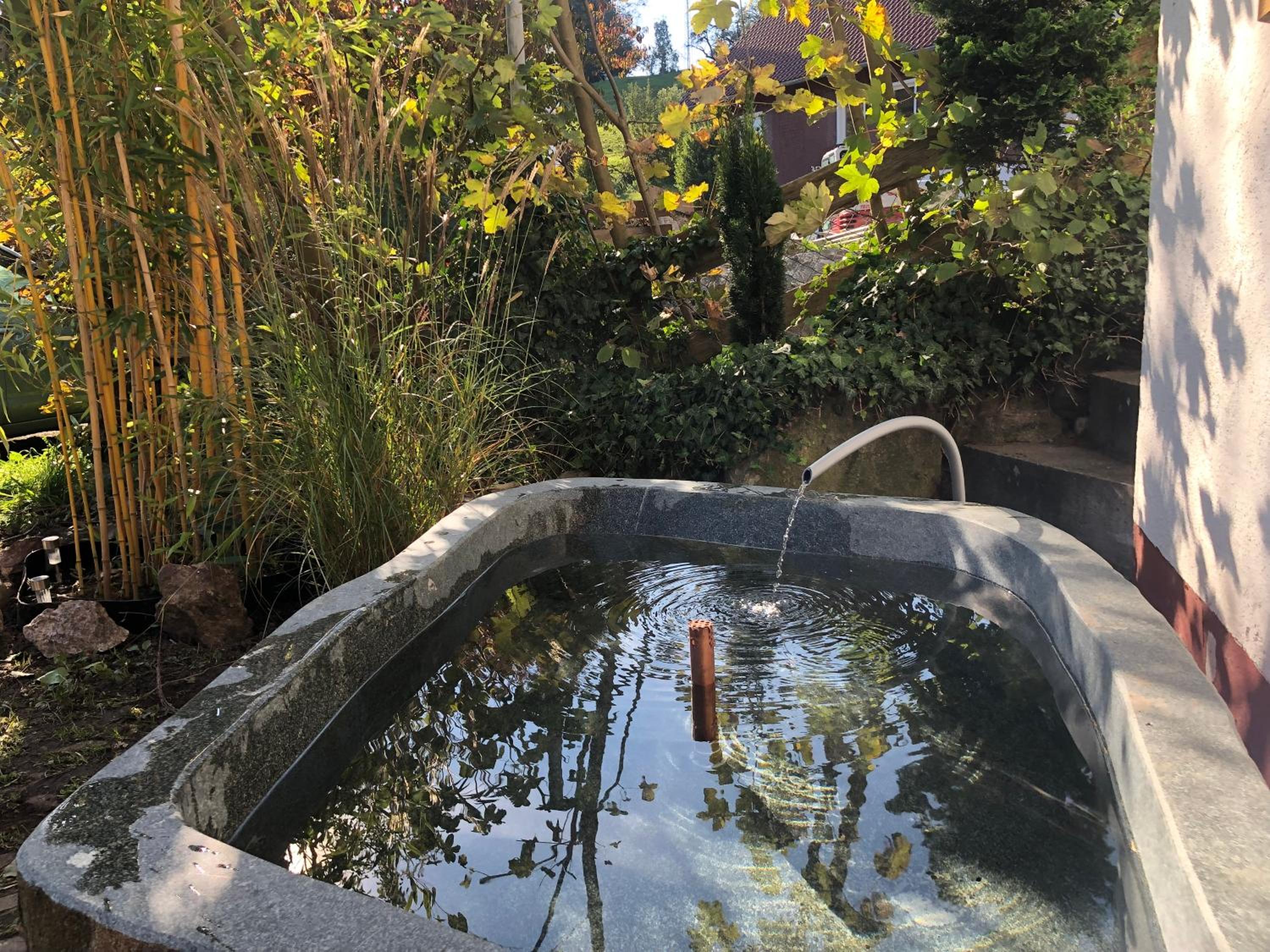 Pia's Nature Retreat