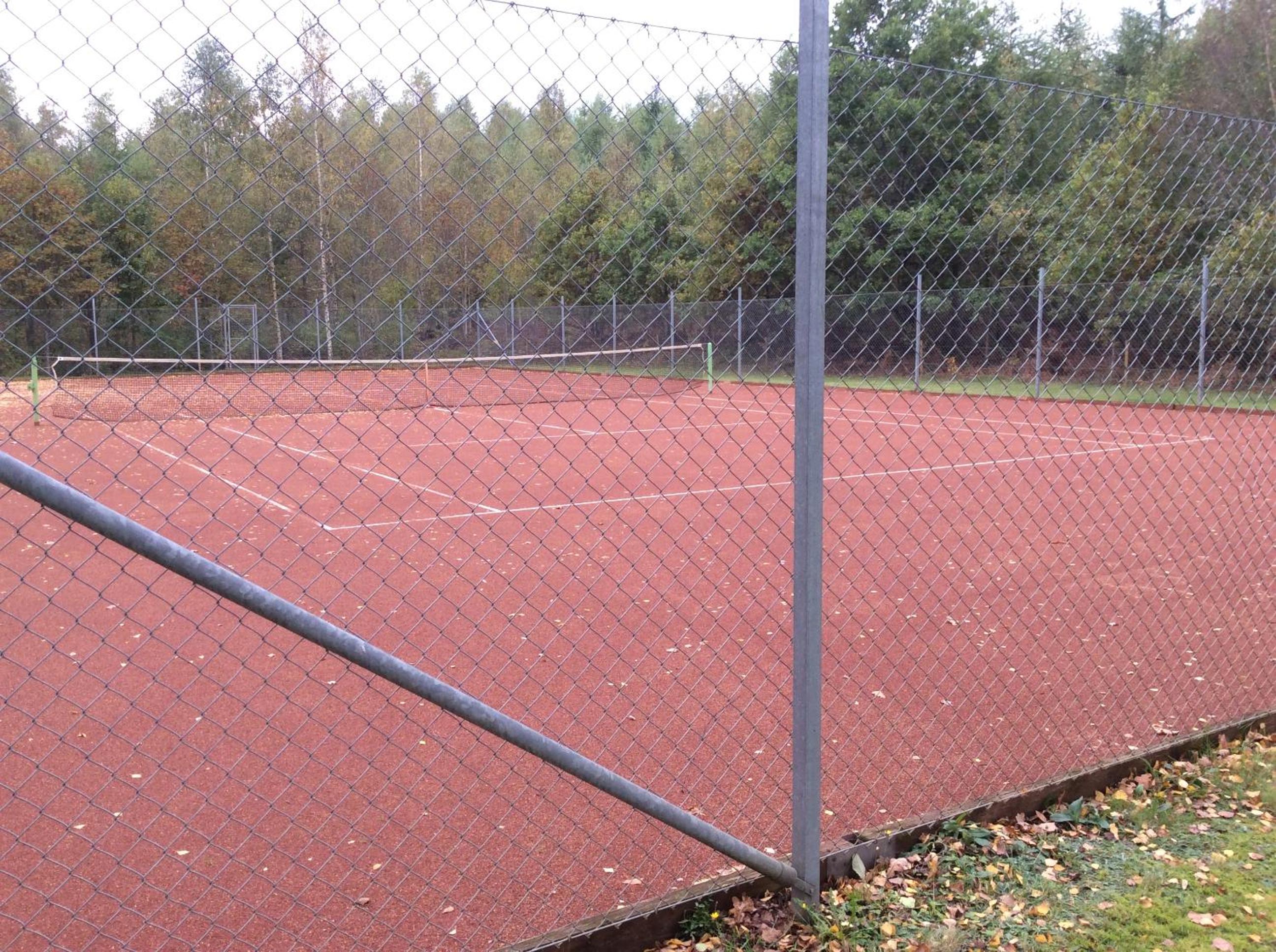 Photo 21