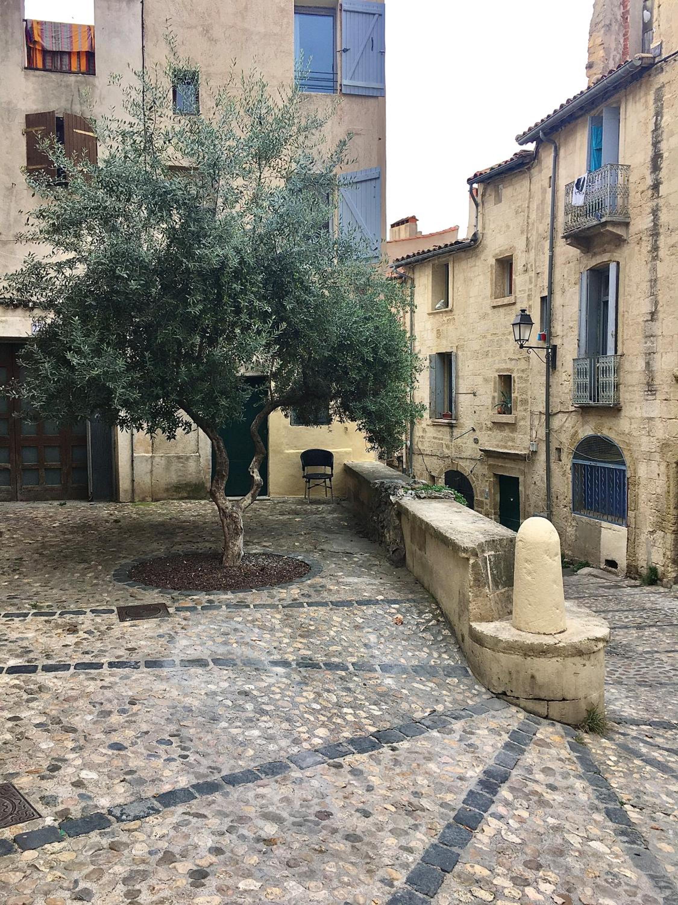 Montpellier Vacations - L'Olivier Loft HH Centre Corum - Netflix  Prime Video 4k - Property Image 2