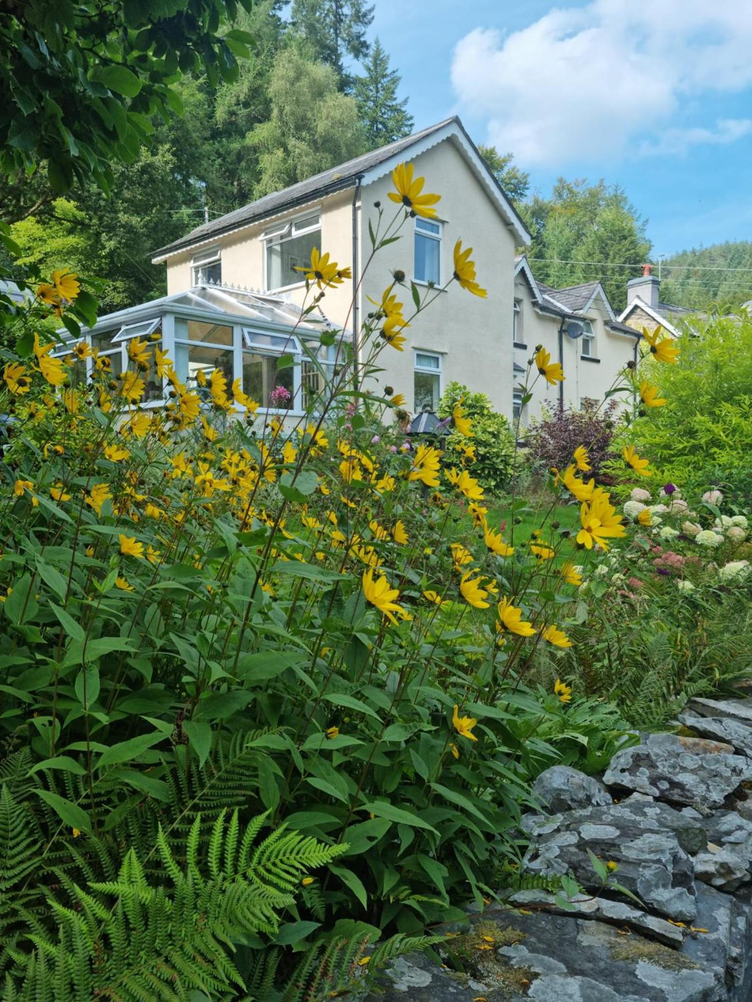 Eagles View Private Cottage - Betws Y Coed view 5