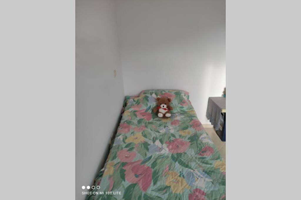Photo 19