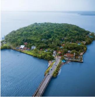 Photo 66
