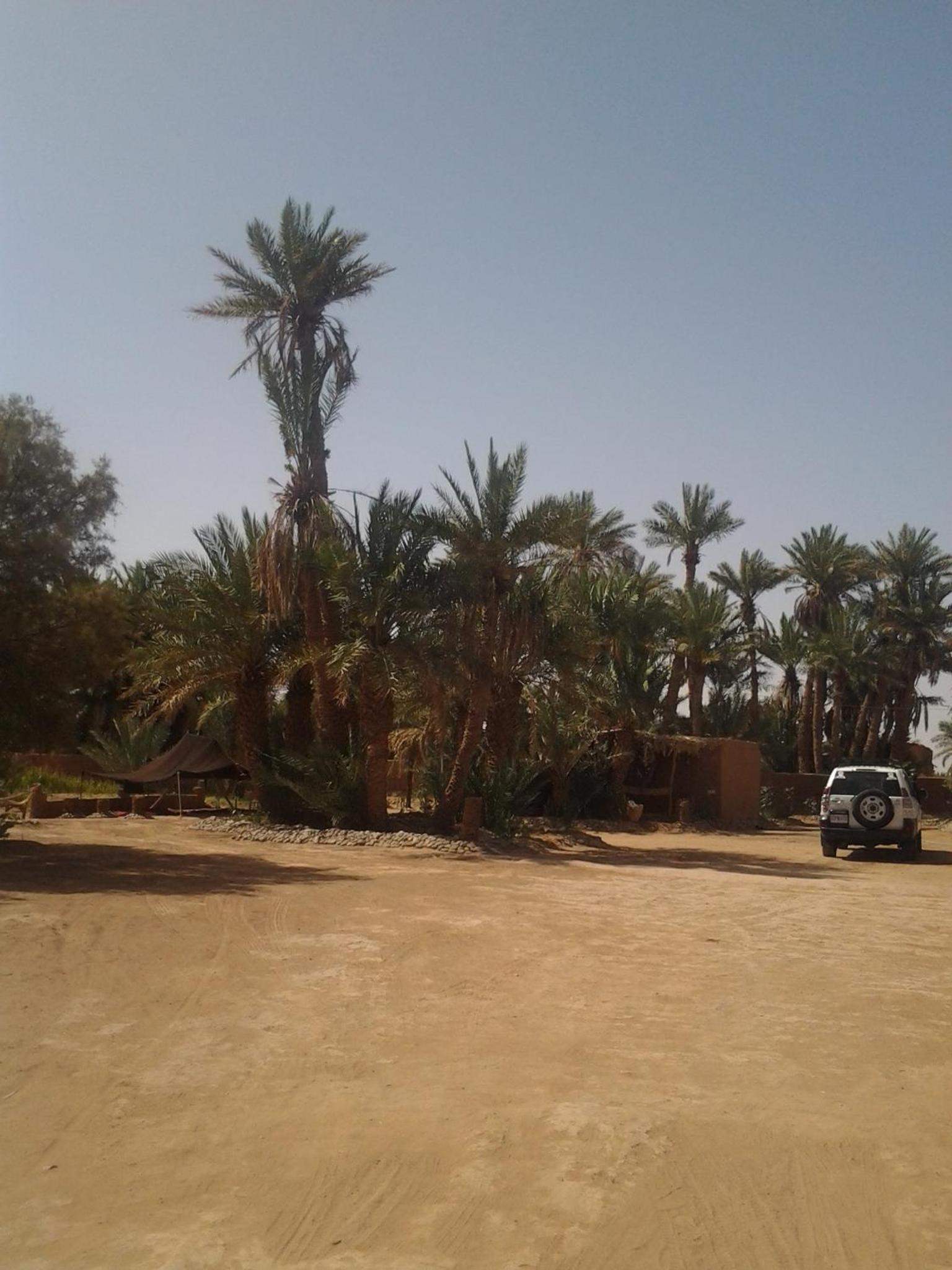 Kasbah Les Alizes Du Desert