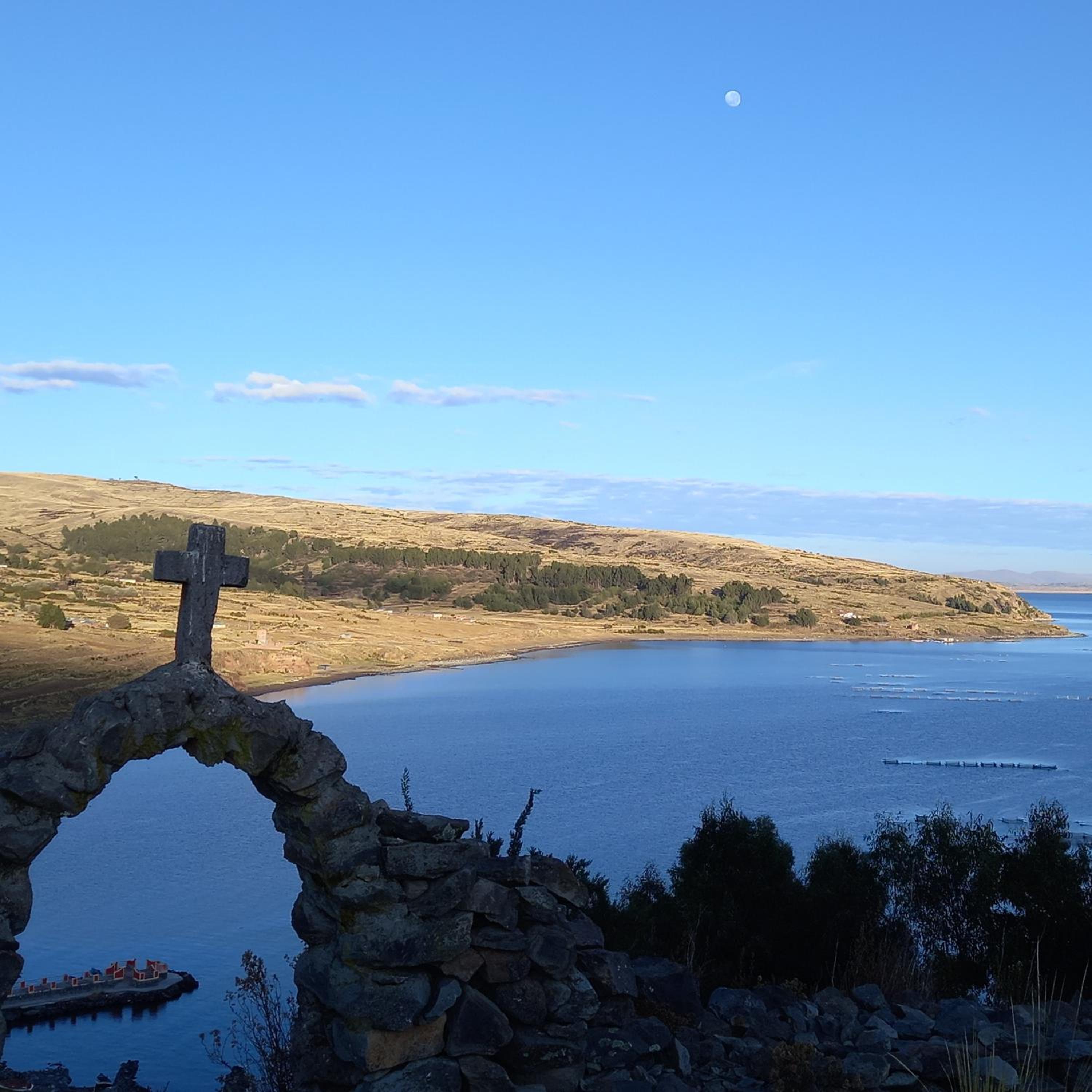 Photo 41