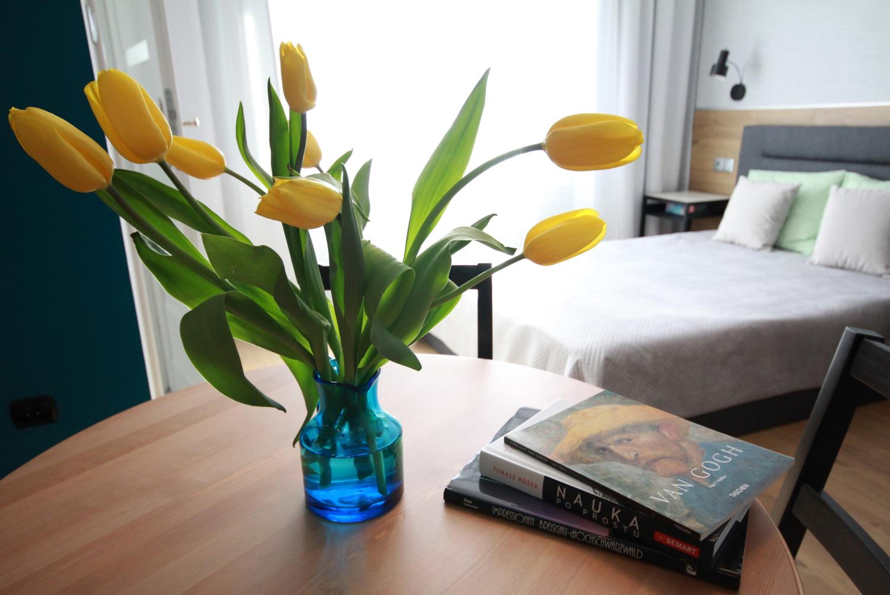 Studio Four Seasons with parking place view 5
