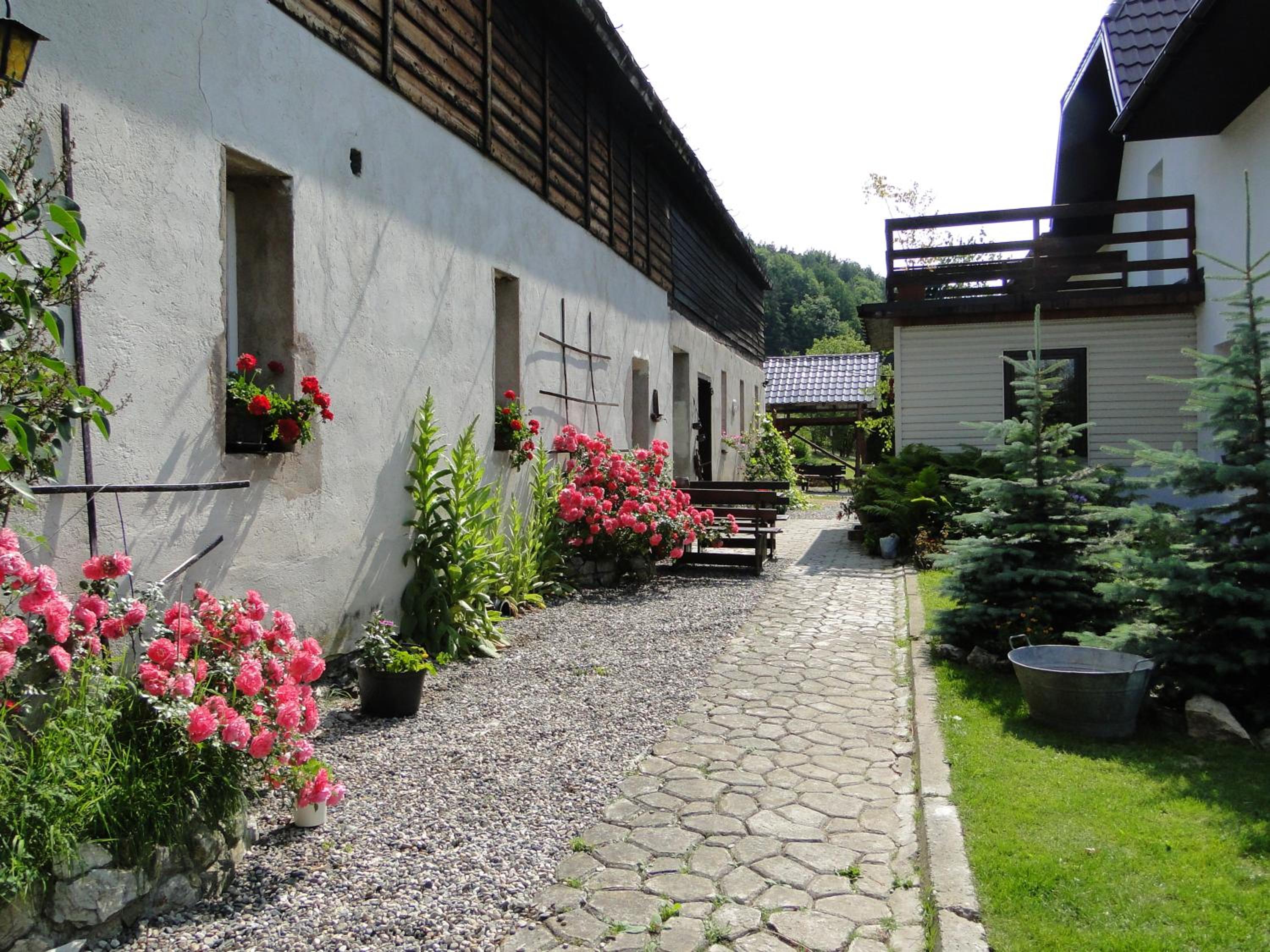 Photo 10
