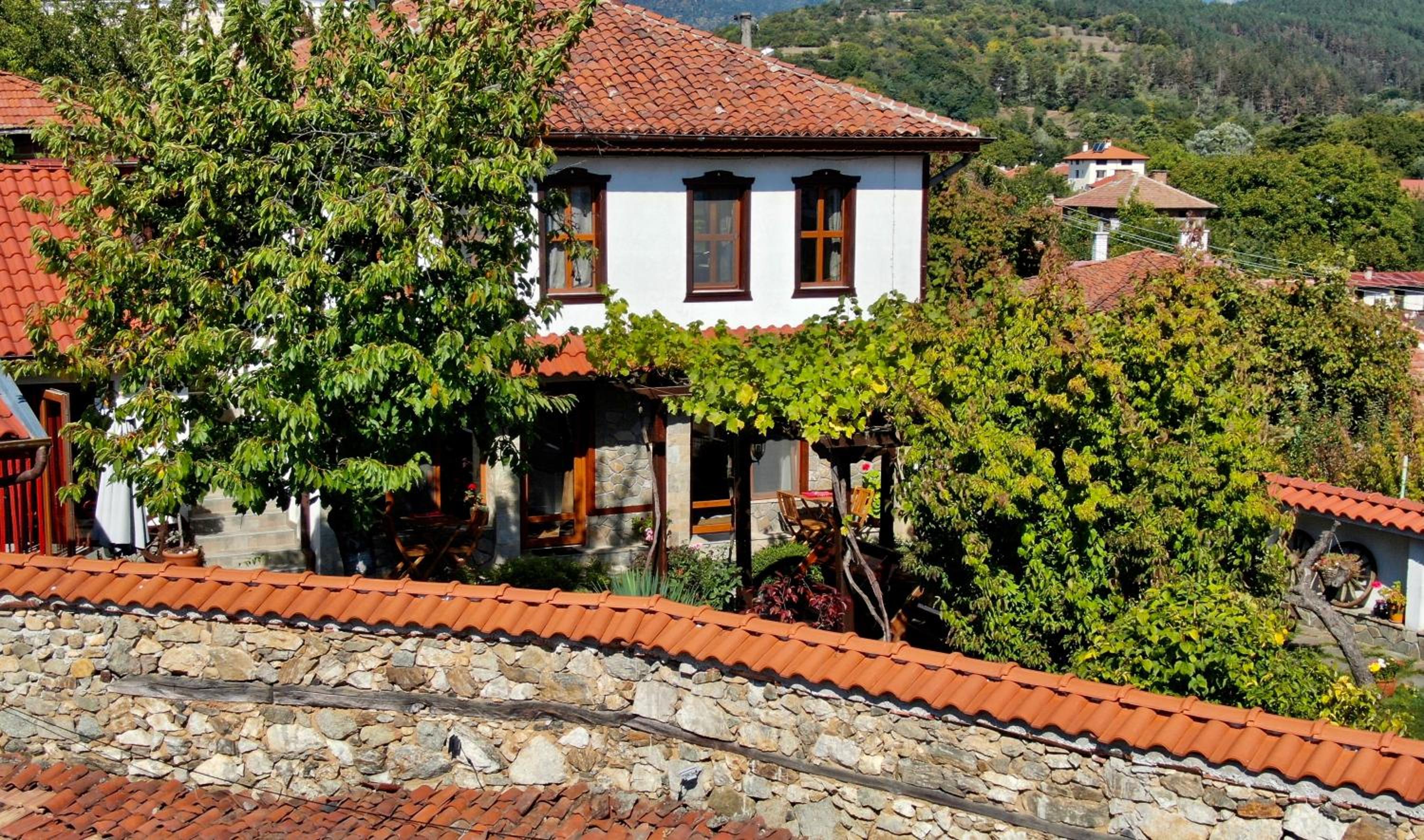 Iliikova House