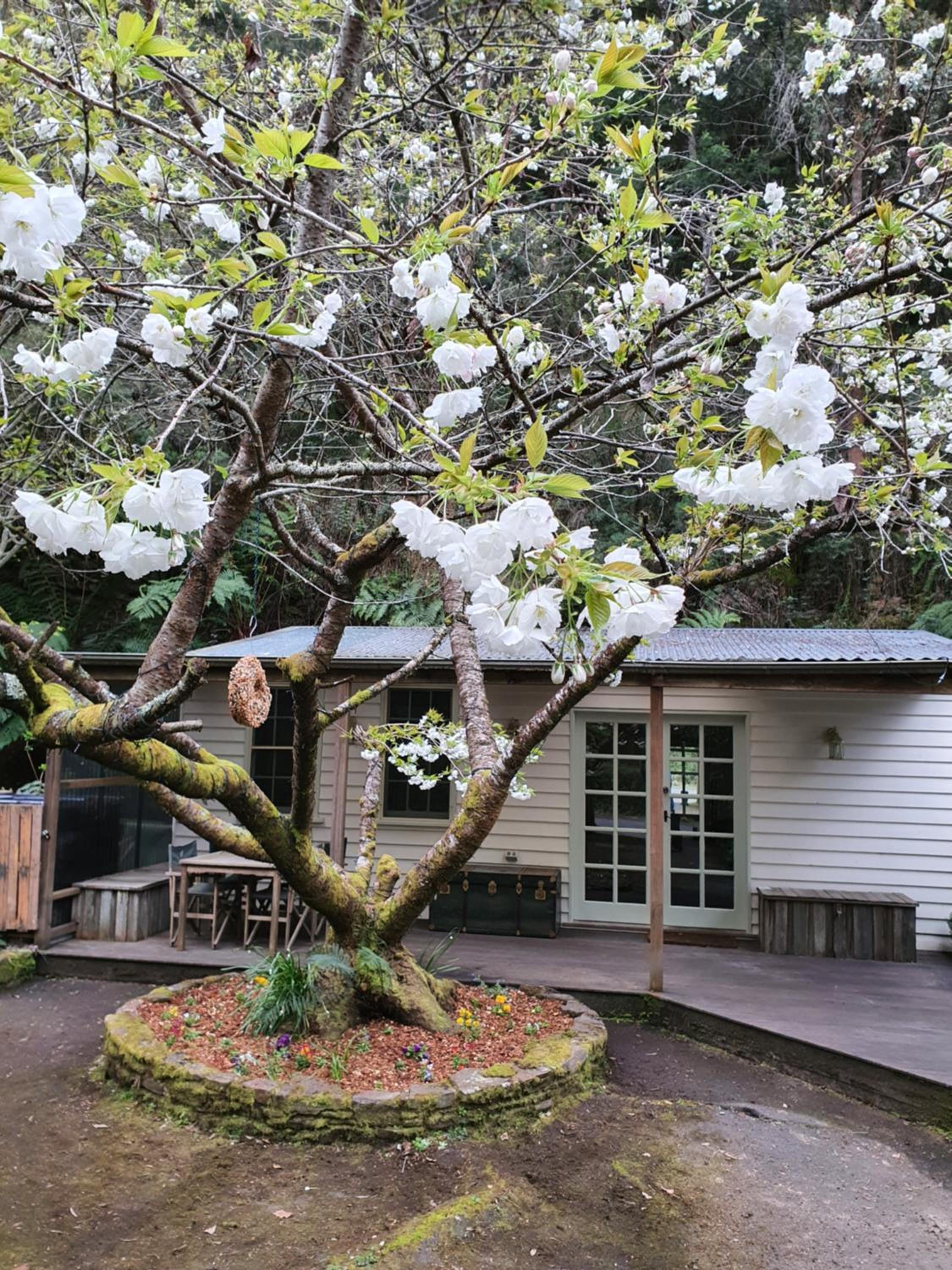 Jacomb's Cottage and Studio