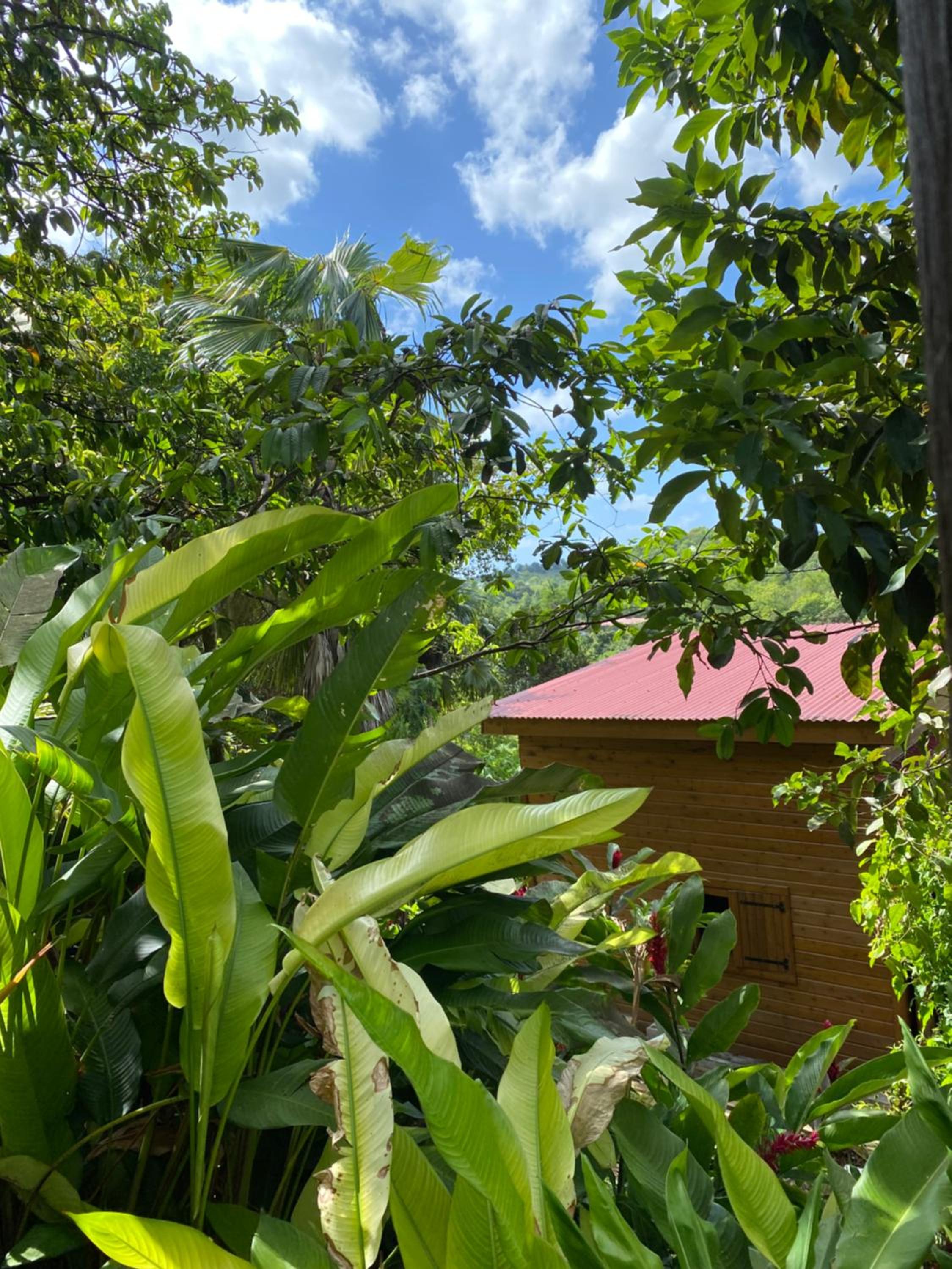 Banana Cottage Ecolodge & Spa view 2