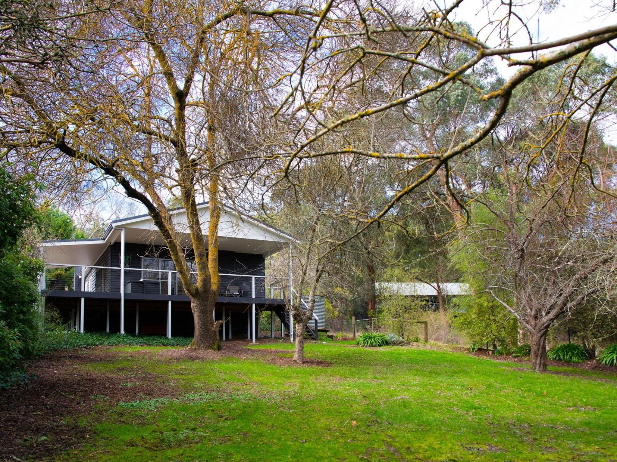 The Apple Tree