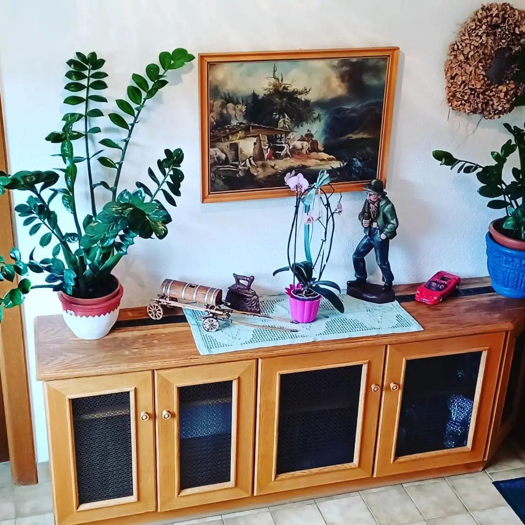 Ferienwohnung Schaller