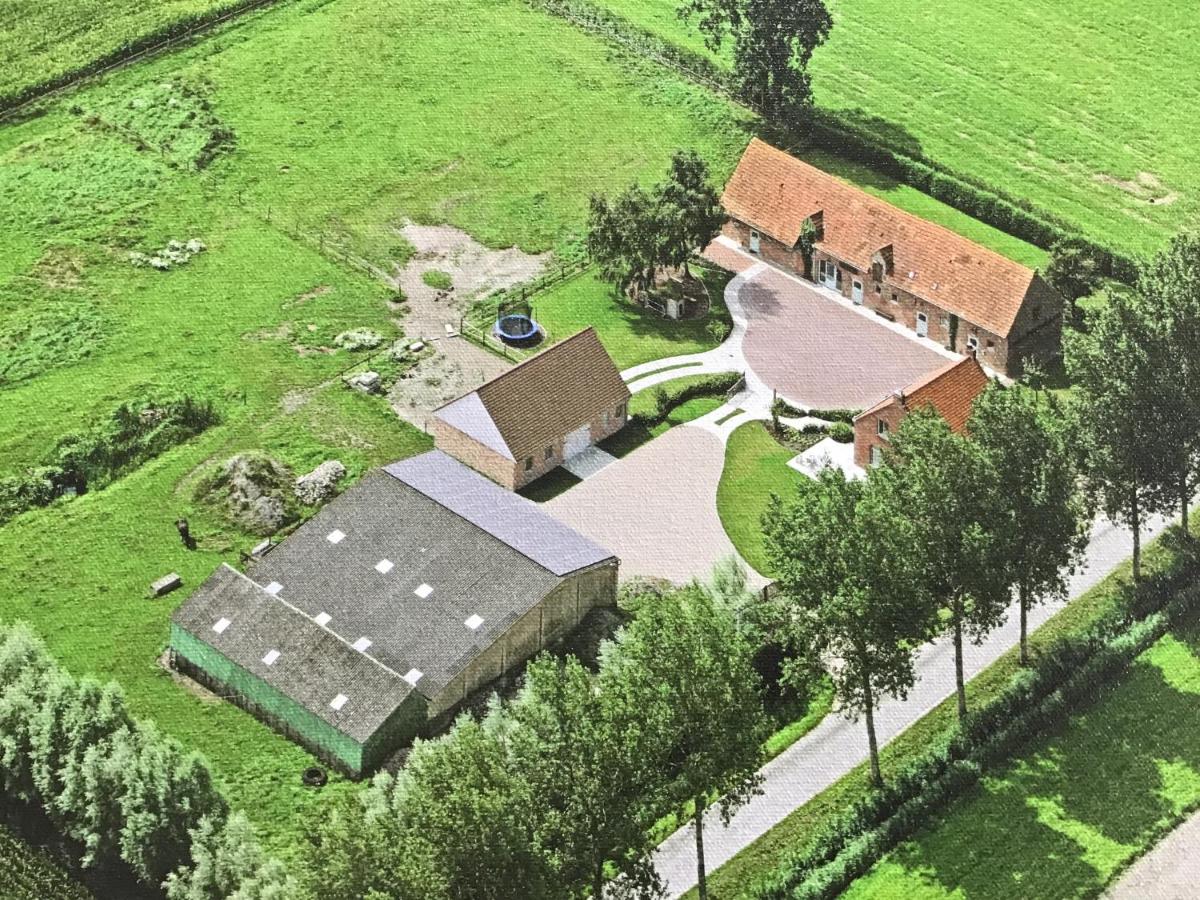 't Moerlogie