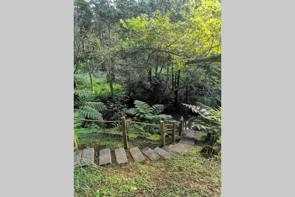 Nature Lovers Paradise view 2