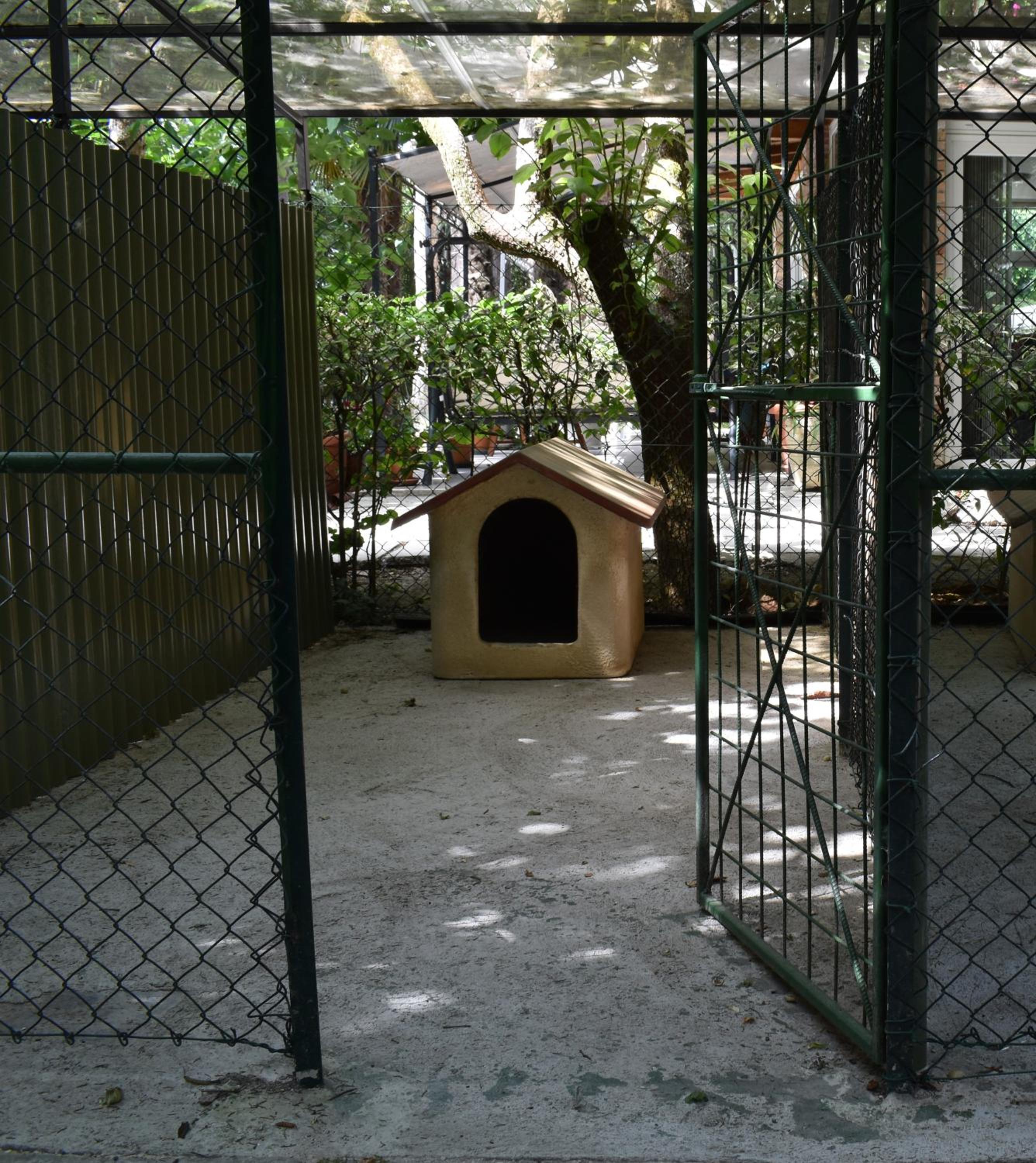 Photo 10