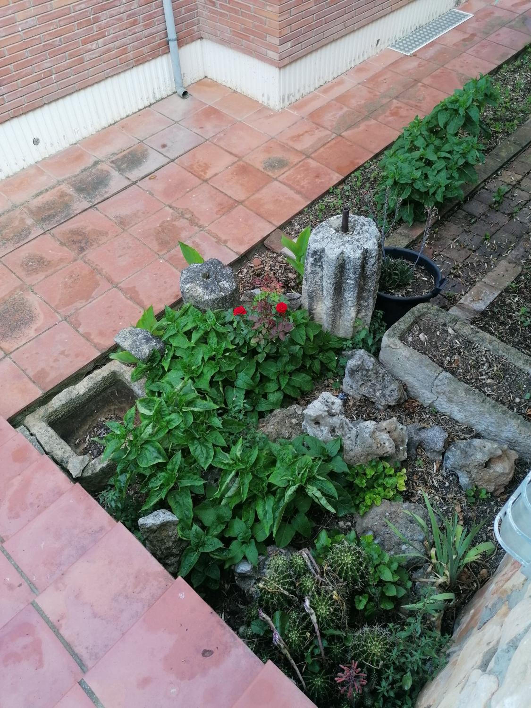 Photo 46
