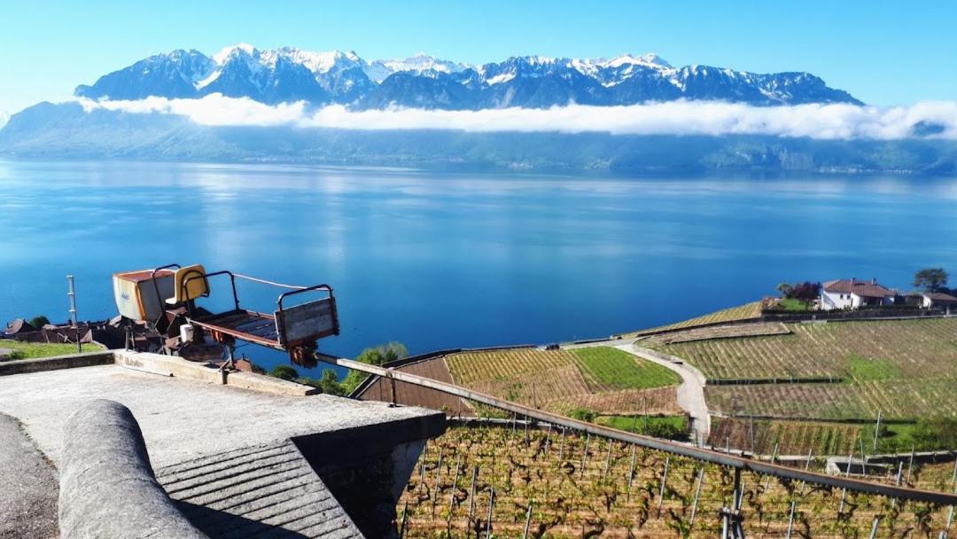 Petite maison à l'orée des bois vue magnifique sur le lac zenitude et plénitude